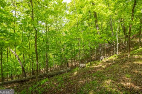 2.90 Acres Galloway Road Blue Ridge GA 30513