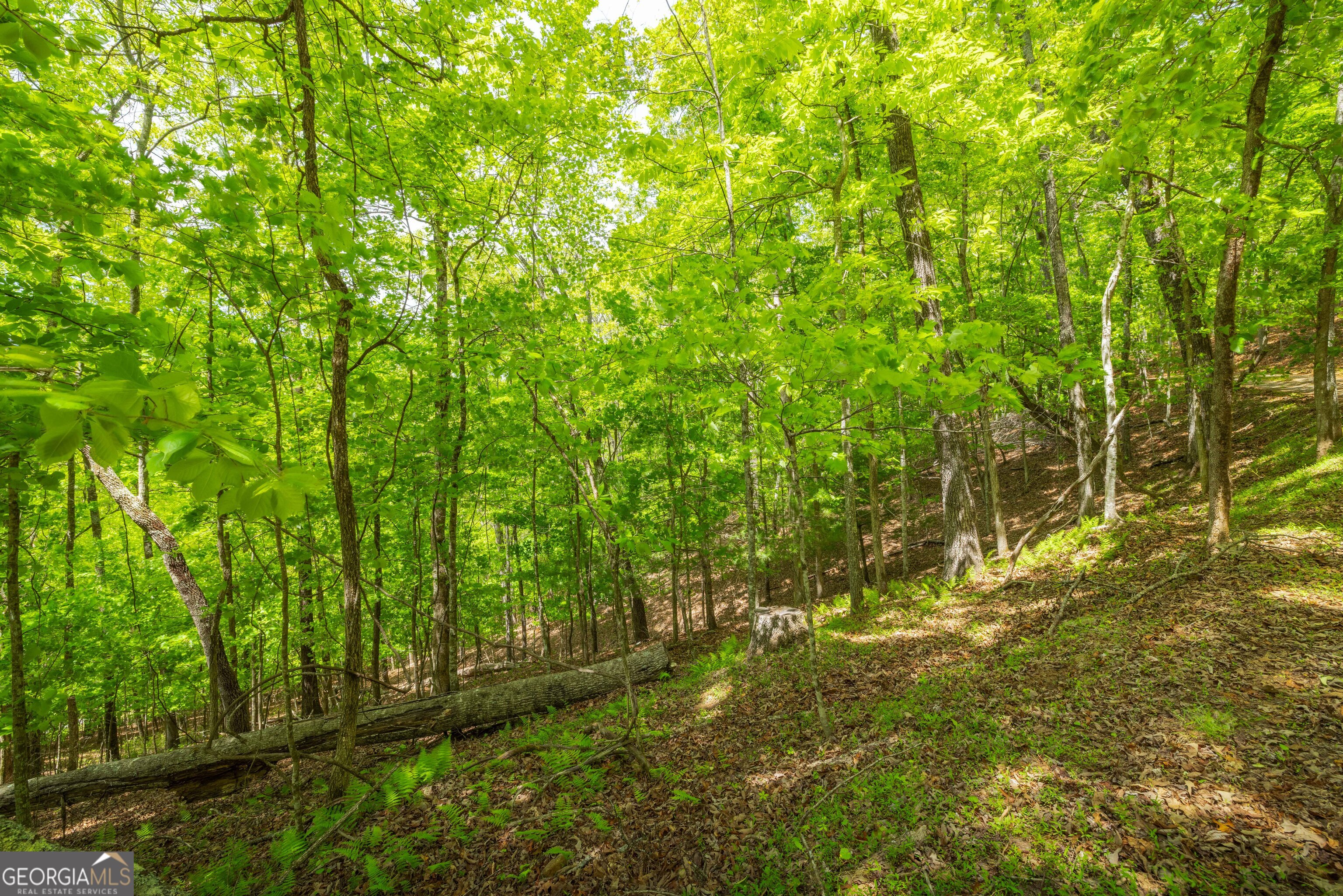 2.90 Acres Galloway Road Blue Ridge GA 30513