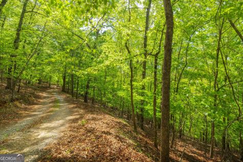 2.90 Acres Galloway Road Blue Ridge GA 30513