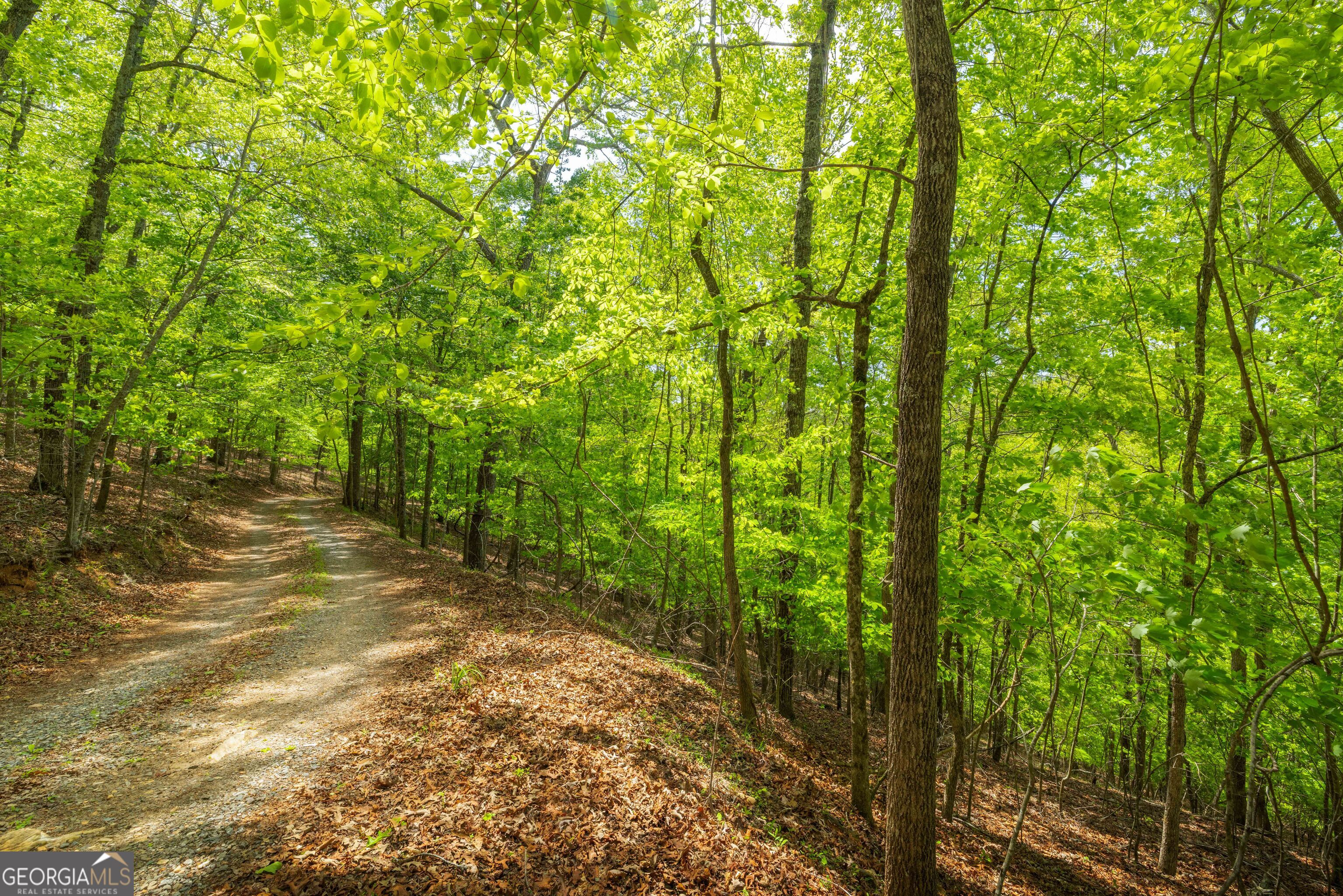 2.90 Acres Galloway Road Blue Ridge GA 30513