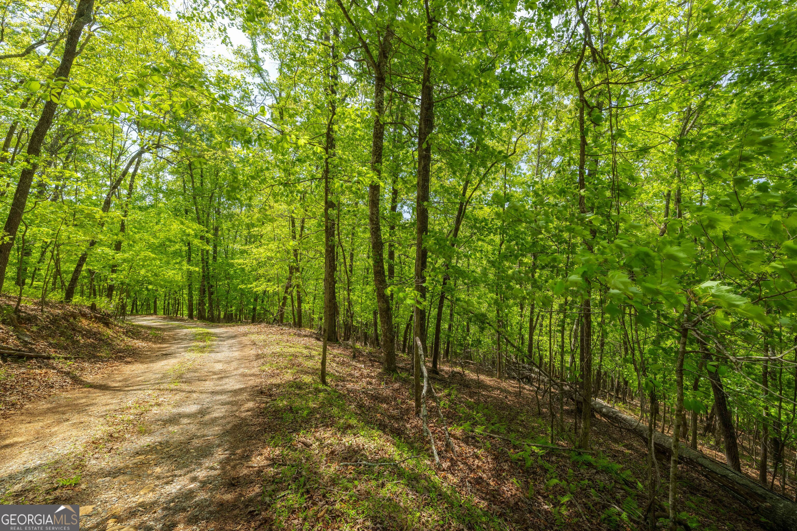 2.90 Acres Galloway Road Blue Ridge GA 30513
