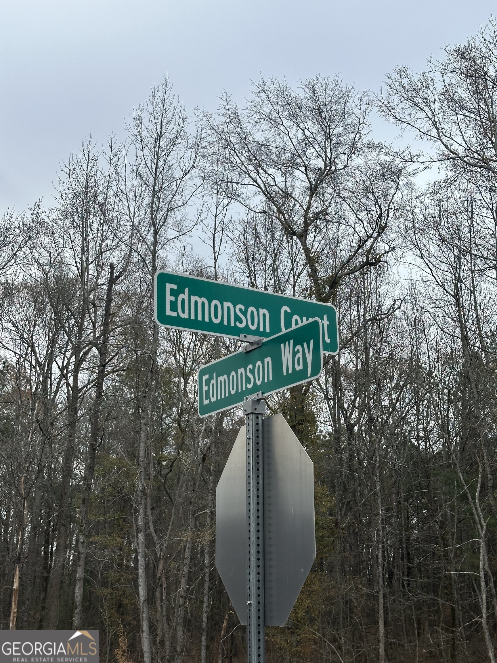 212 Edmonson Court Stockbridge GA 30281