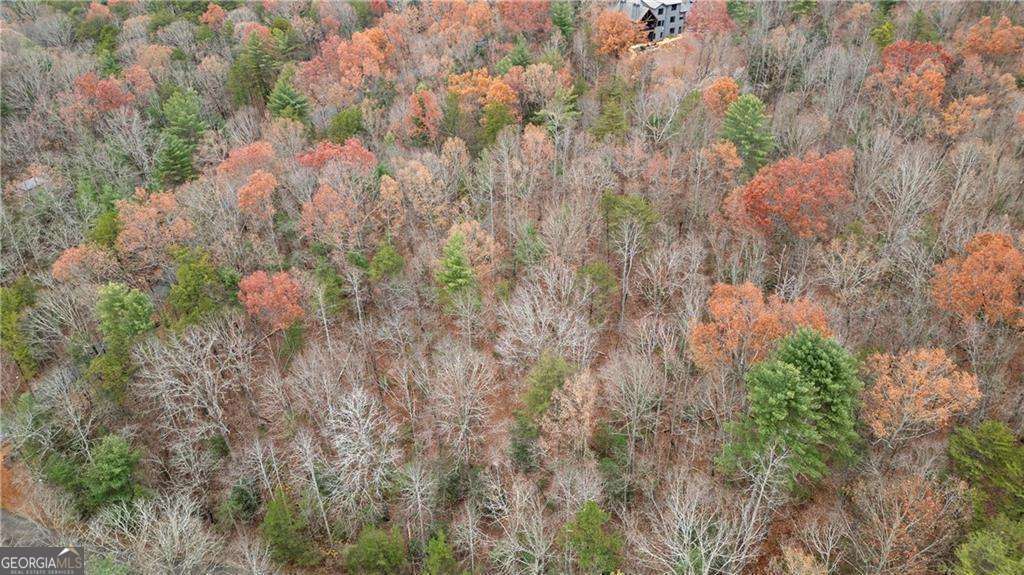 0 Oceola Drive Ellijay GA 30540