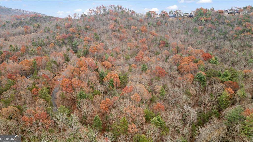 0 Oceola Drive Ellijay GA 30540