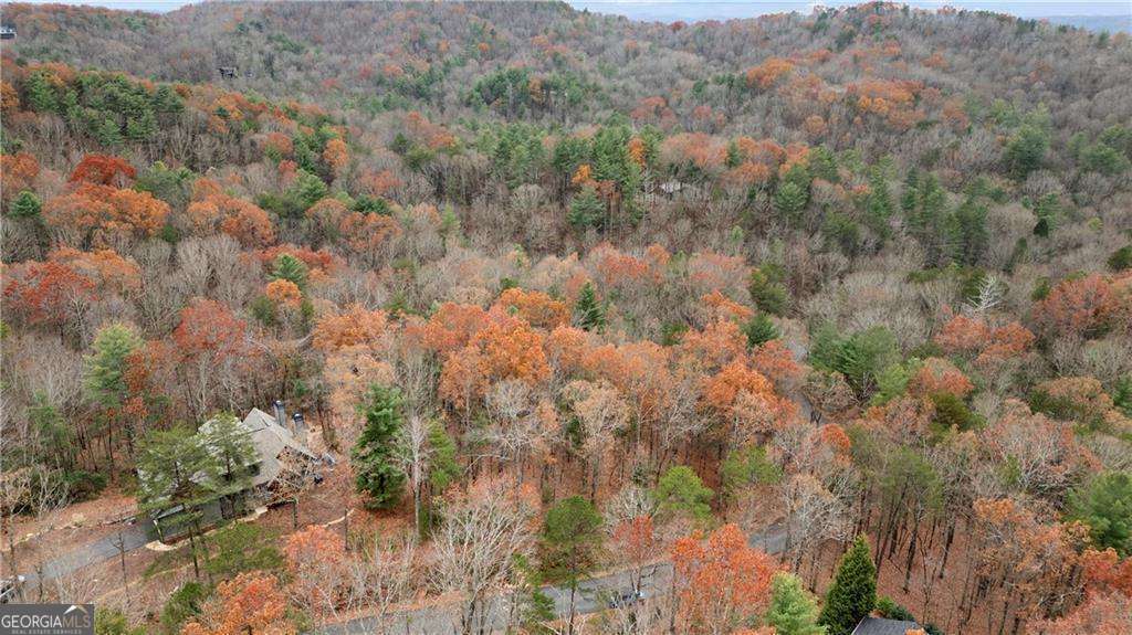 0 Oceola Drive Ellijay GA 30540