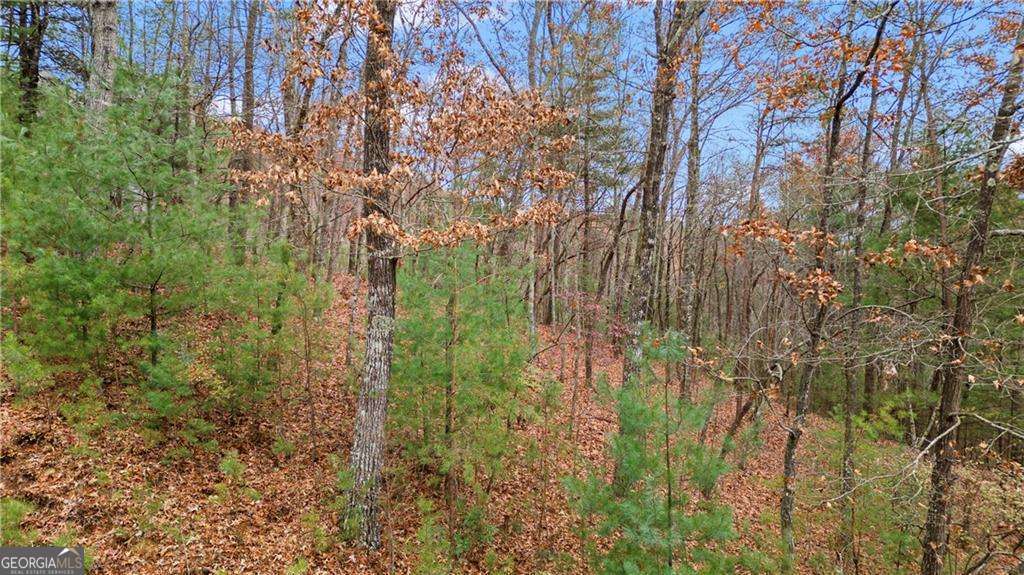 0 Oceola Drive Ellijay GA 30540