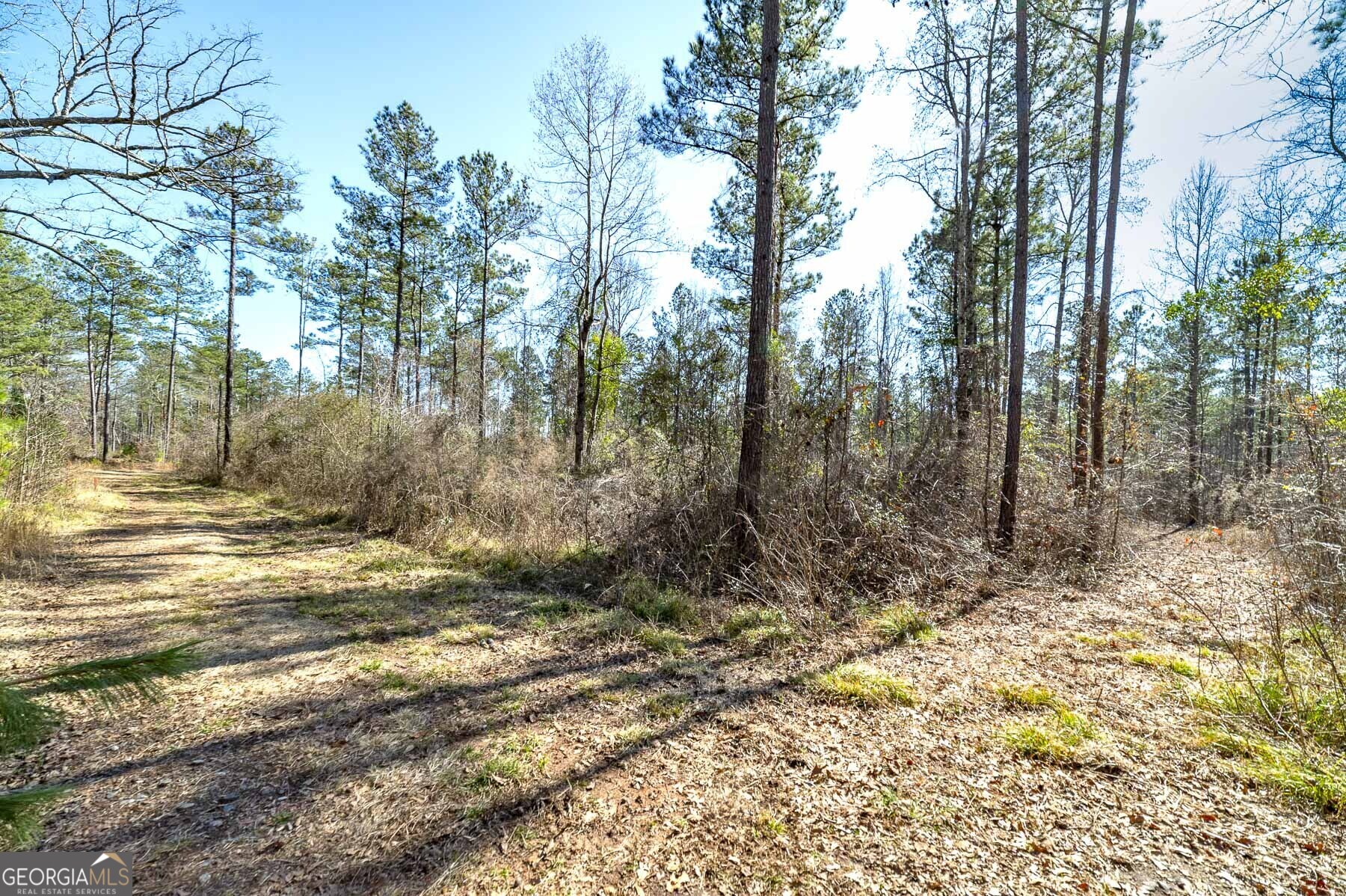 0 Dean Patrick Road Jackson GA 30233