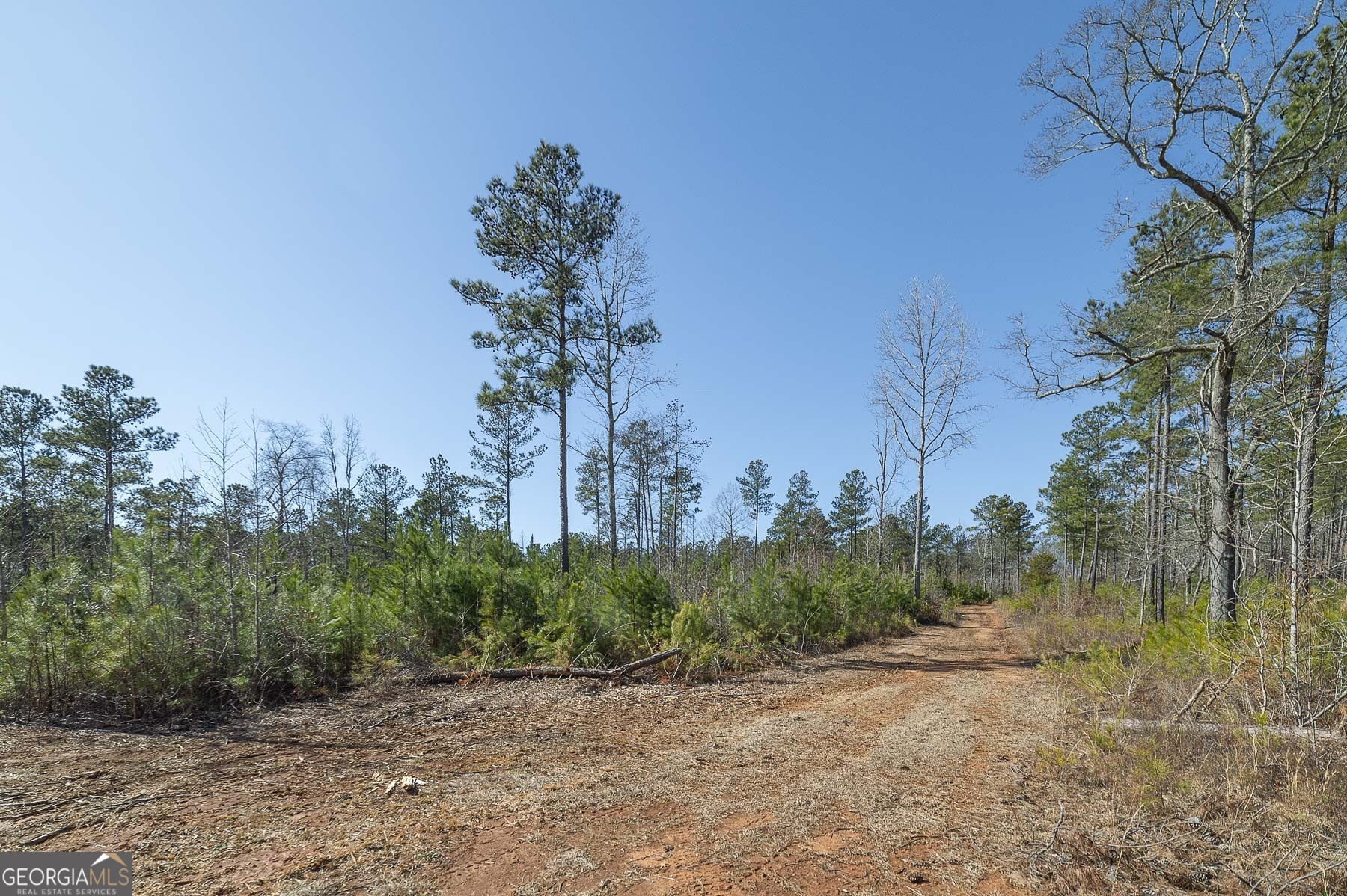 0 Dean Patrick Road Jackson GA 30233