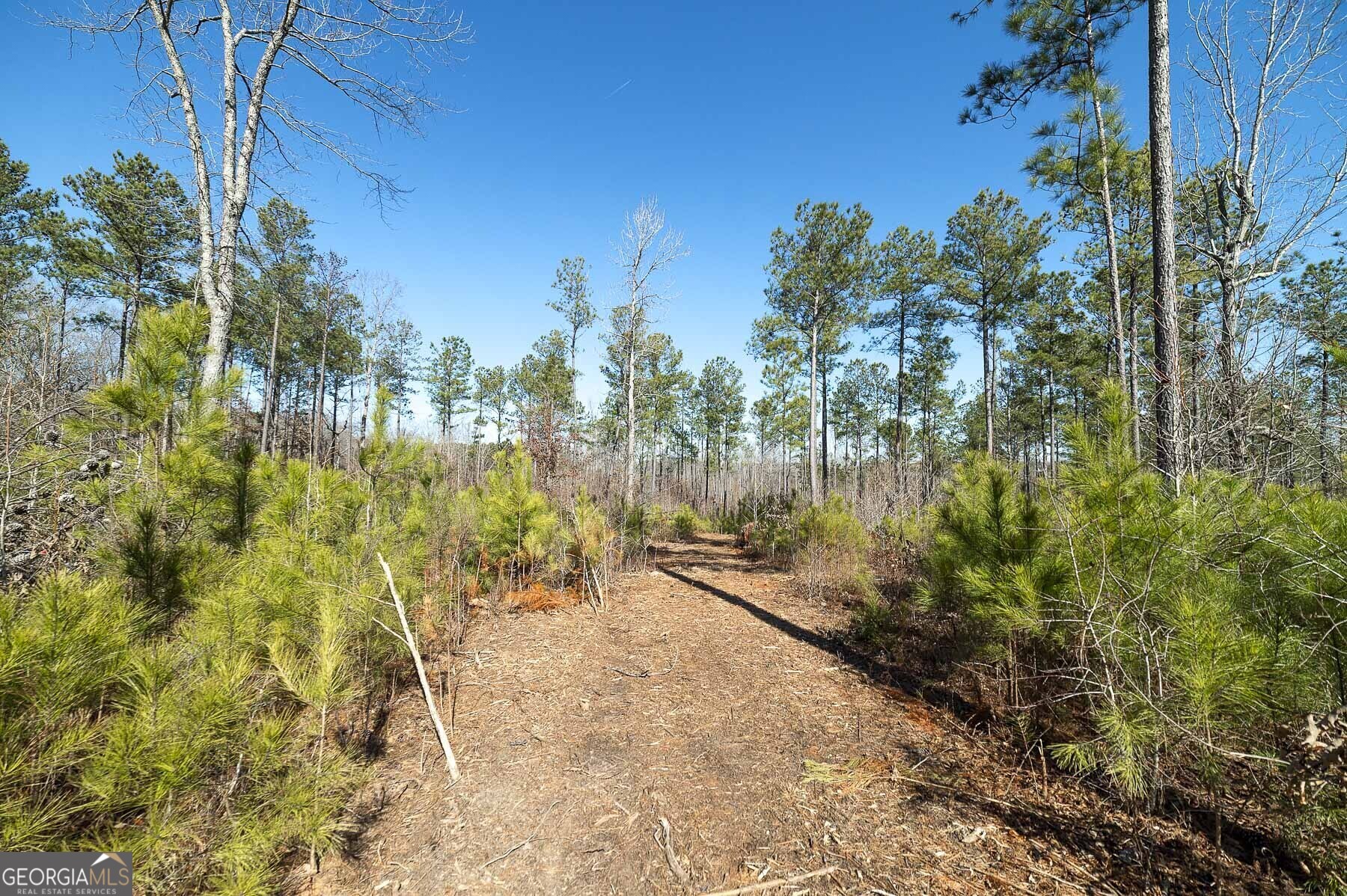 0 Dean Patrick Road Jackson GA 30233