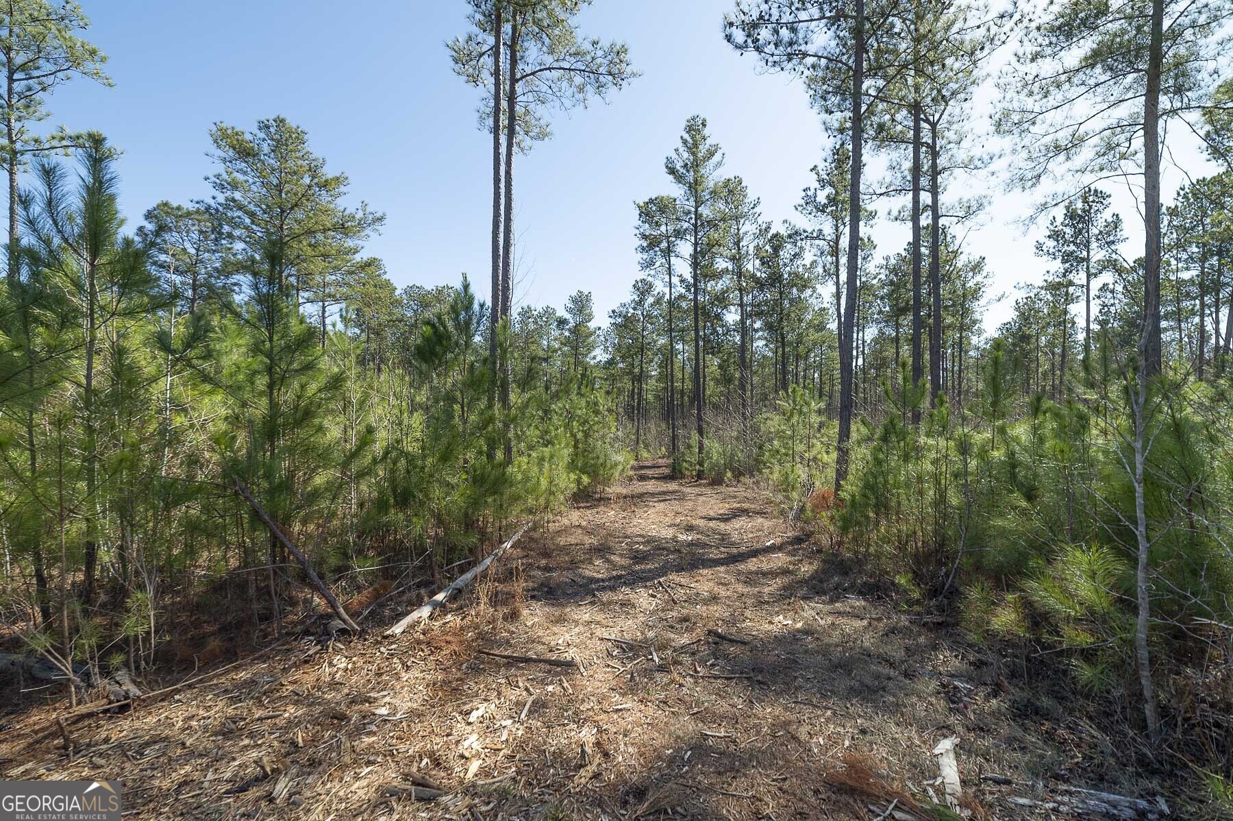 0 Dean Patrick Road Jackson GA 30233