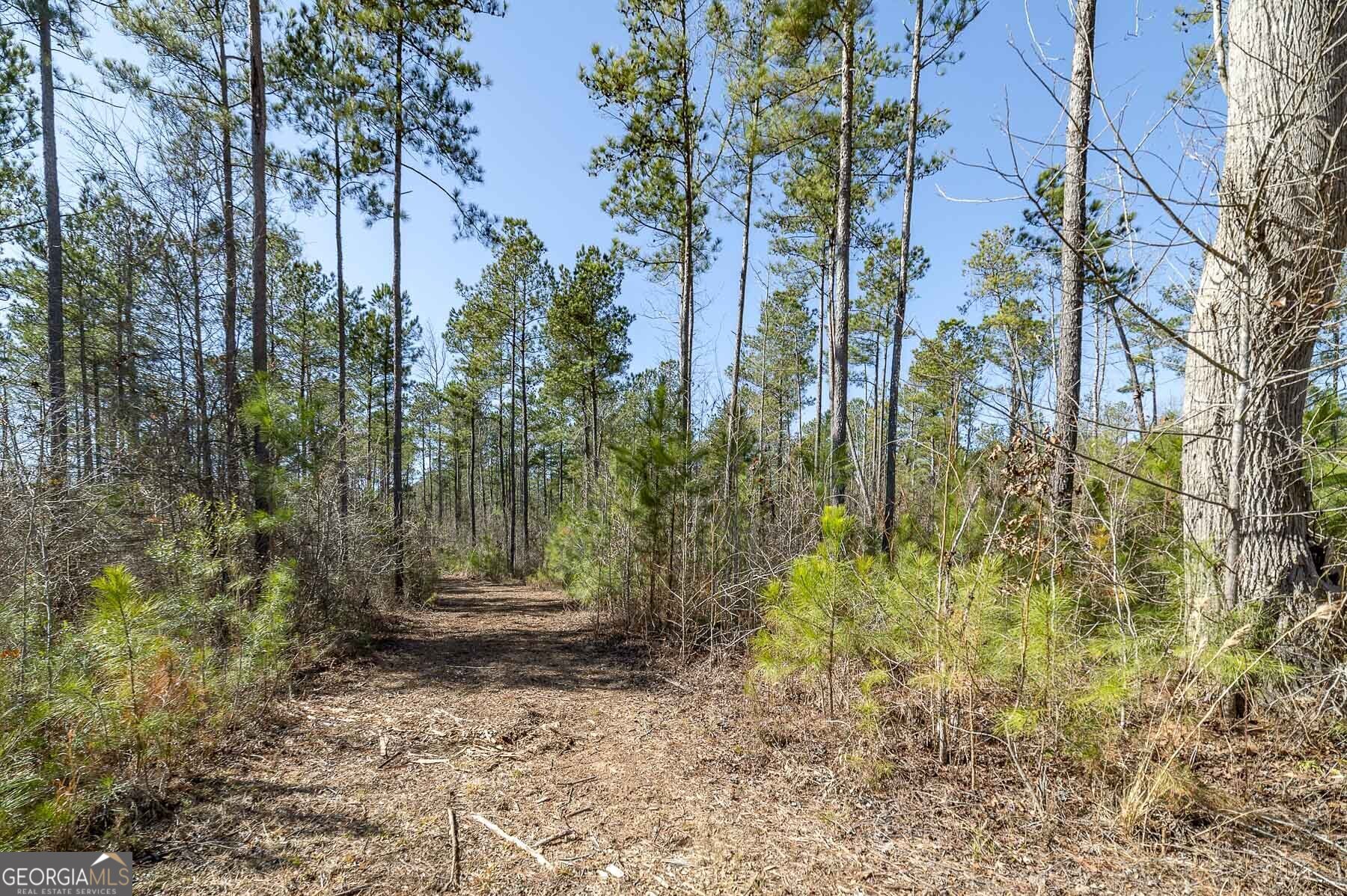 0 Dean Patrick Road Jackson GA 30233