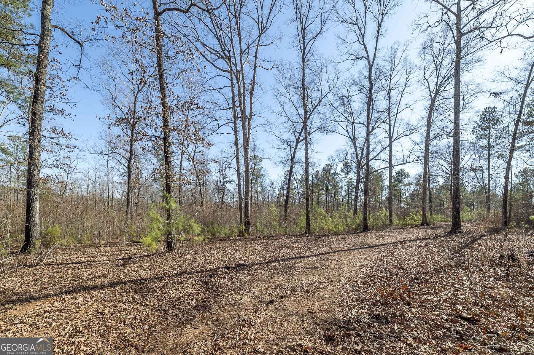 0 Dean Patrick Road Jackson GA 30233