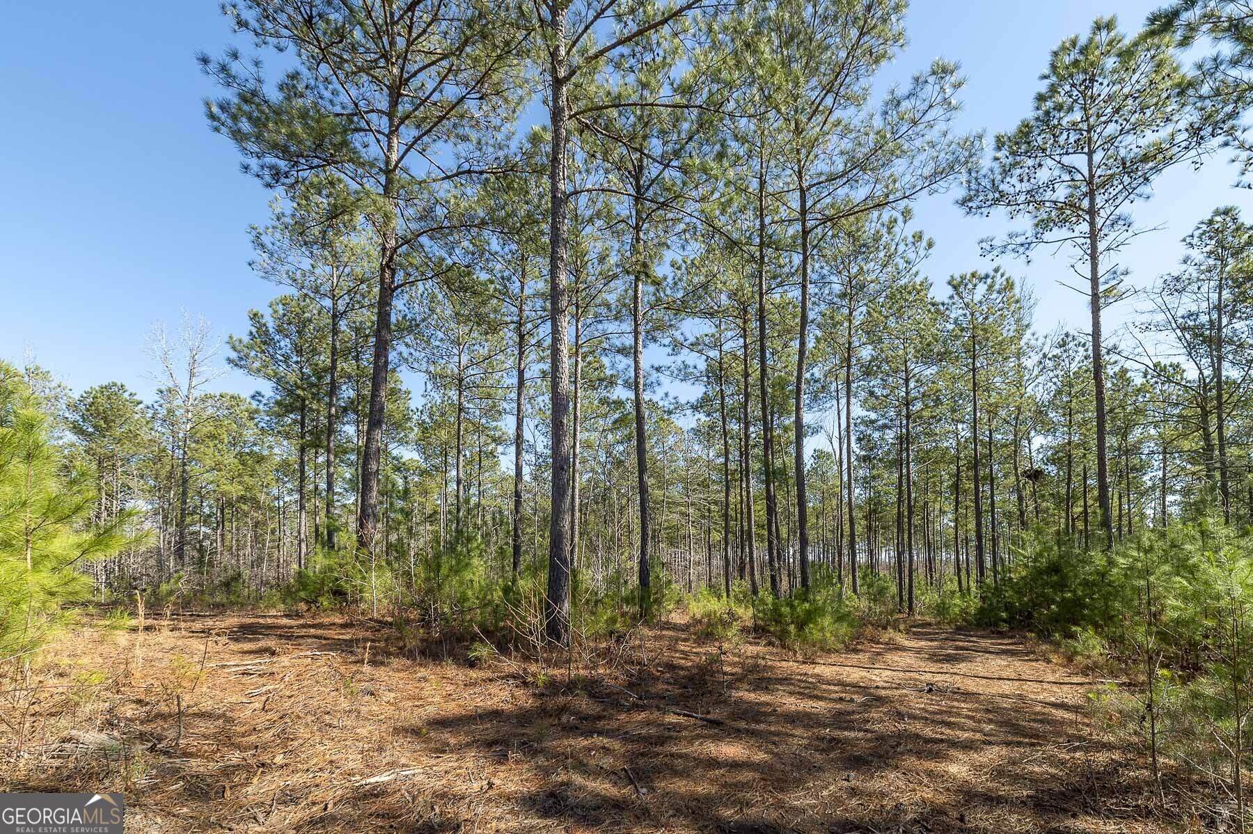 0 Dean Patrick Road Jackson GA 30233