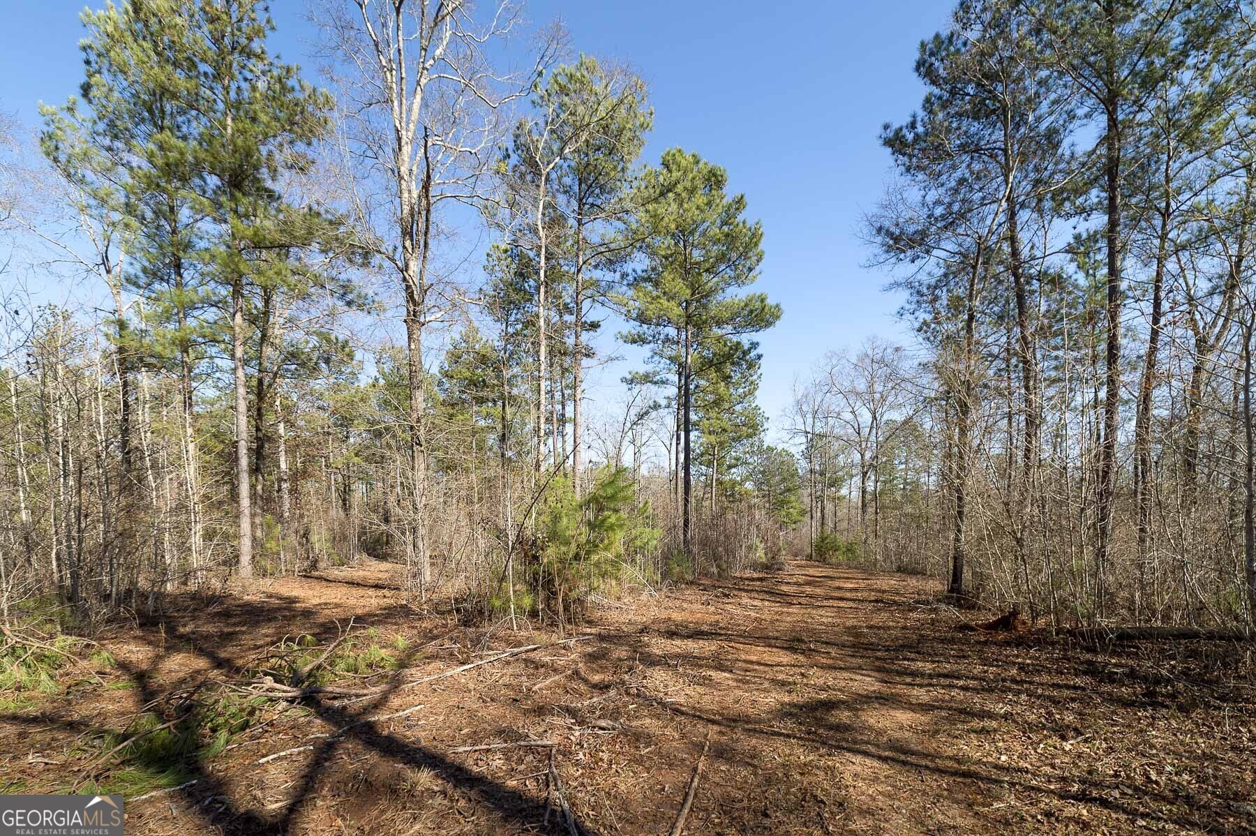0 Dean Patrick Road Jackson GA 30233
