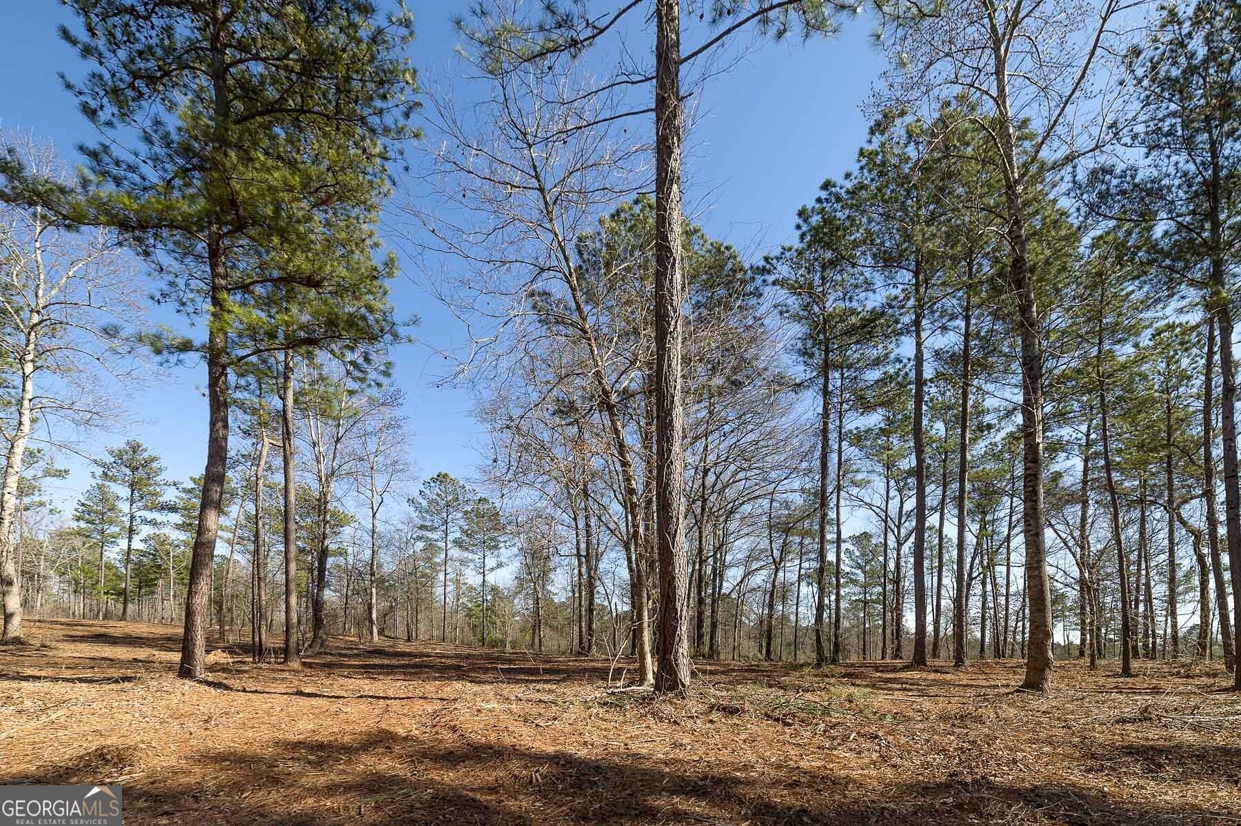 0 Dean Patrick Road Jackson GA 30233