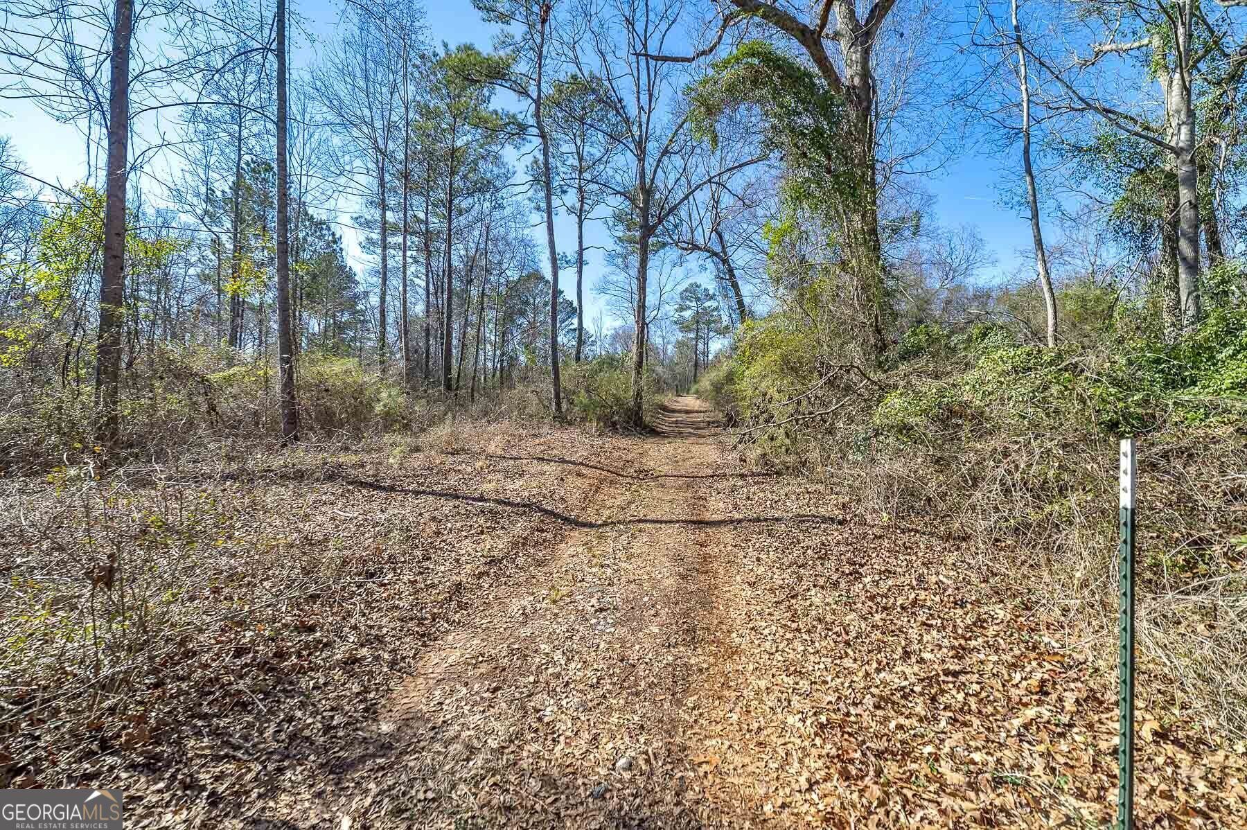 0 Dean Patrick Road Jackson GA 30233