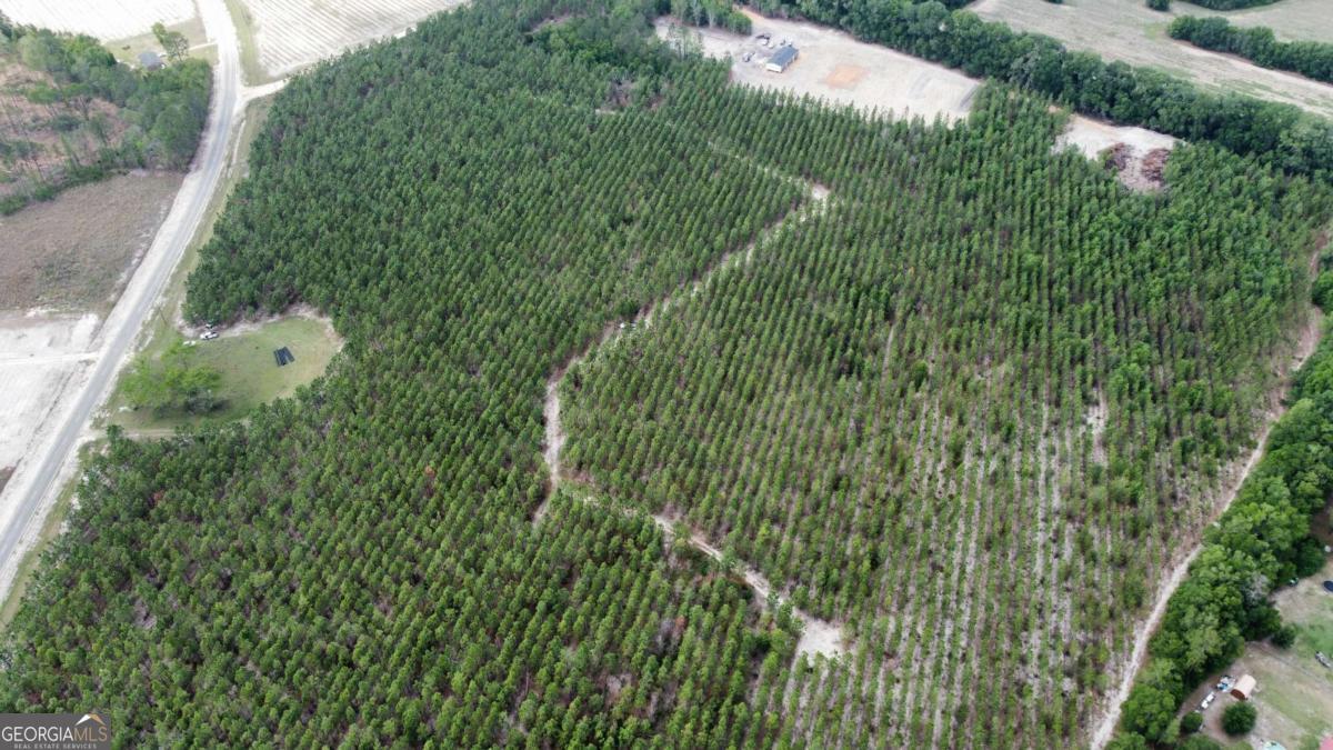 4690 Godwin Road Blackshear GA 31516