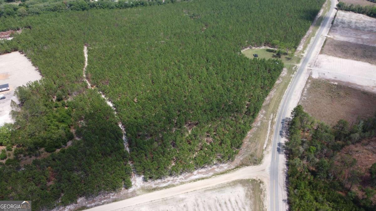 4690 Godwin Road Blackshear GA 31516