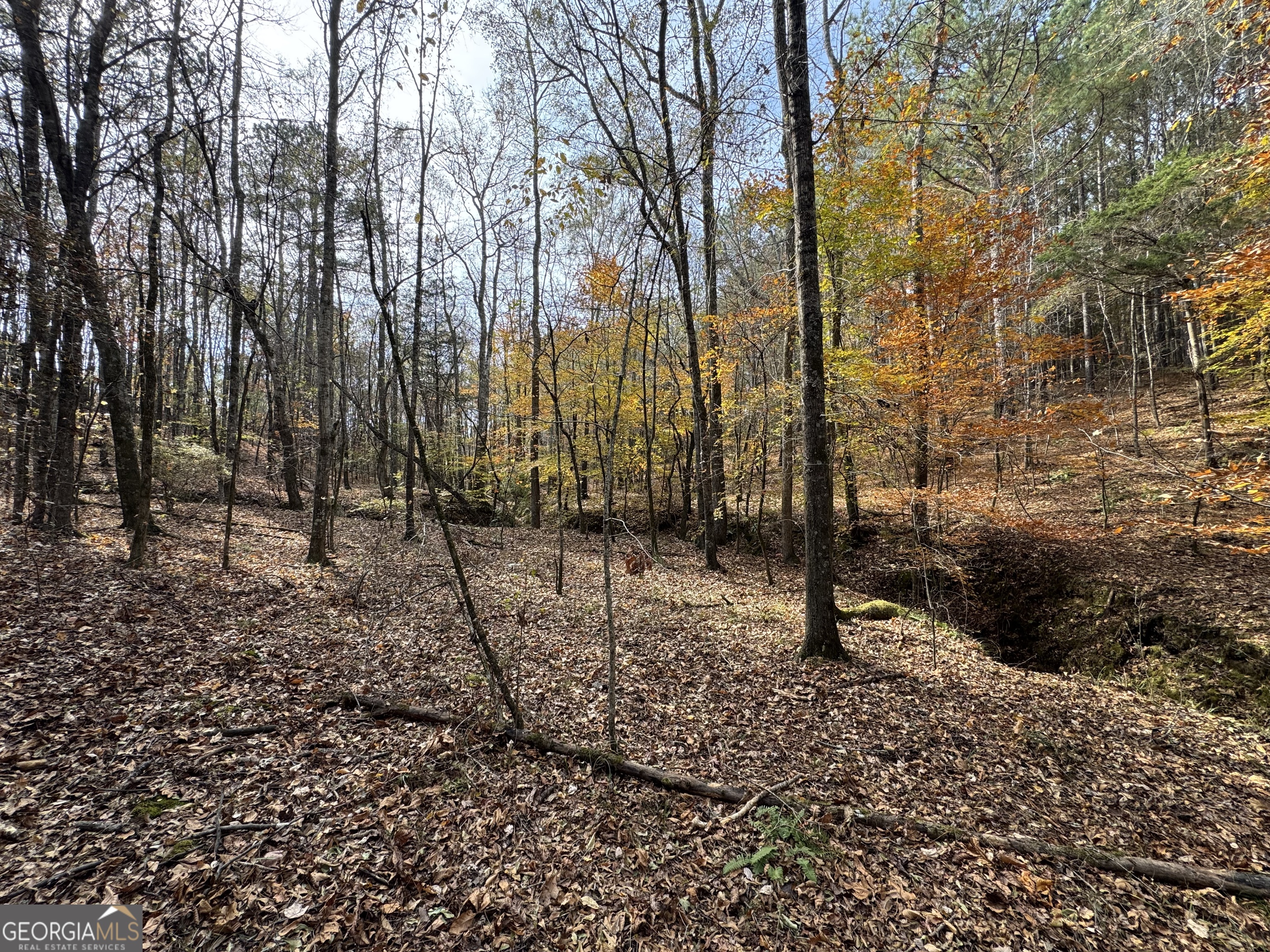 0 Old Middleton Road Elberton GA 30635