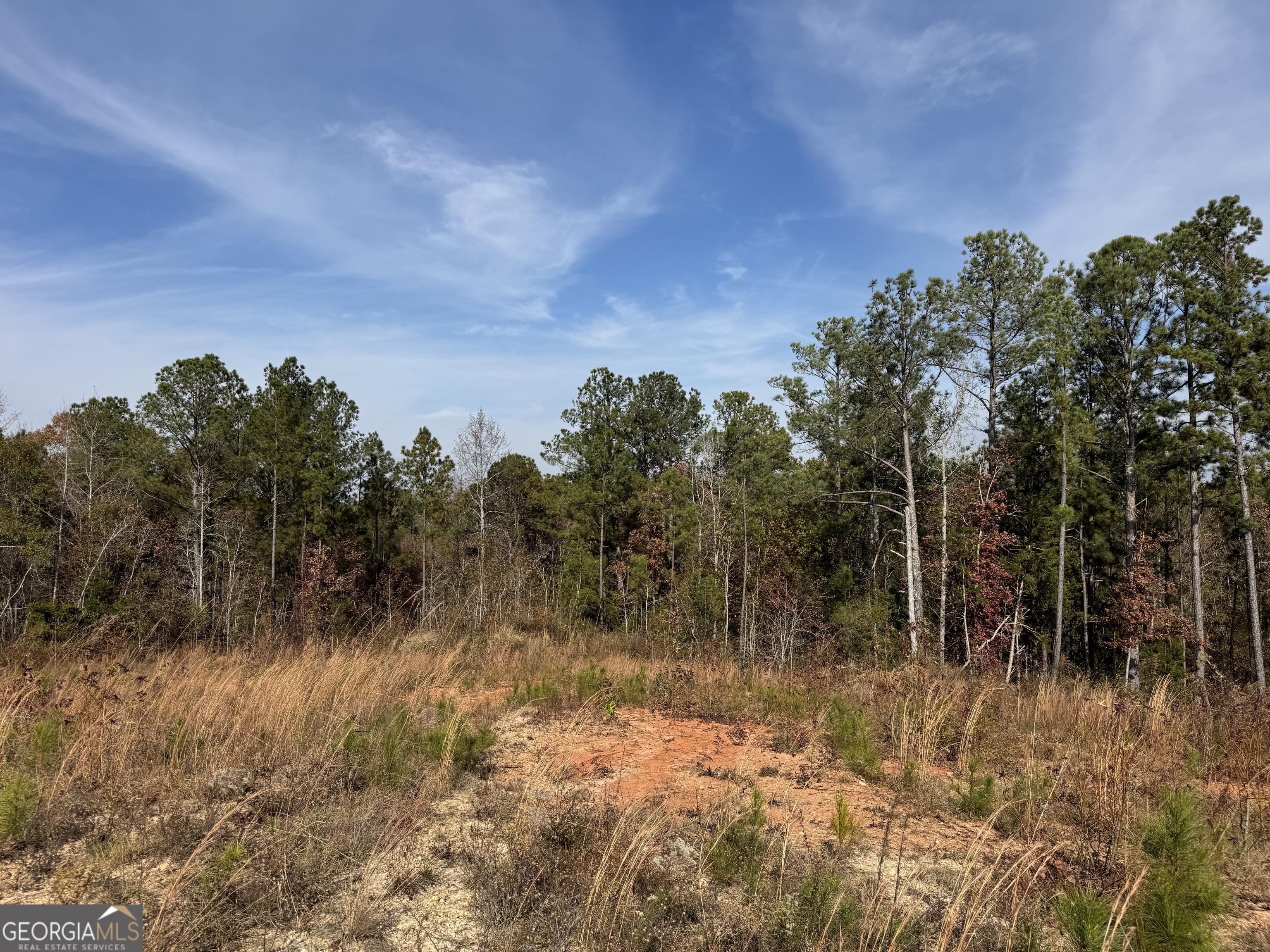 0 Old Middleton Road Elberton GA 30635