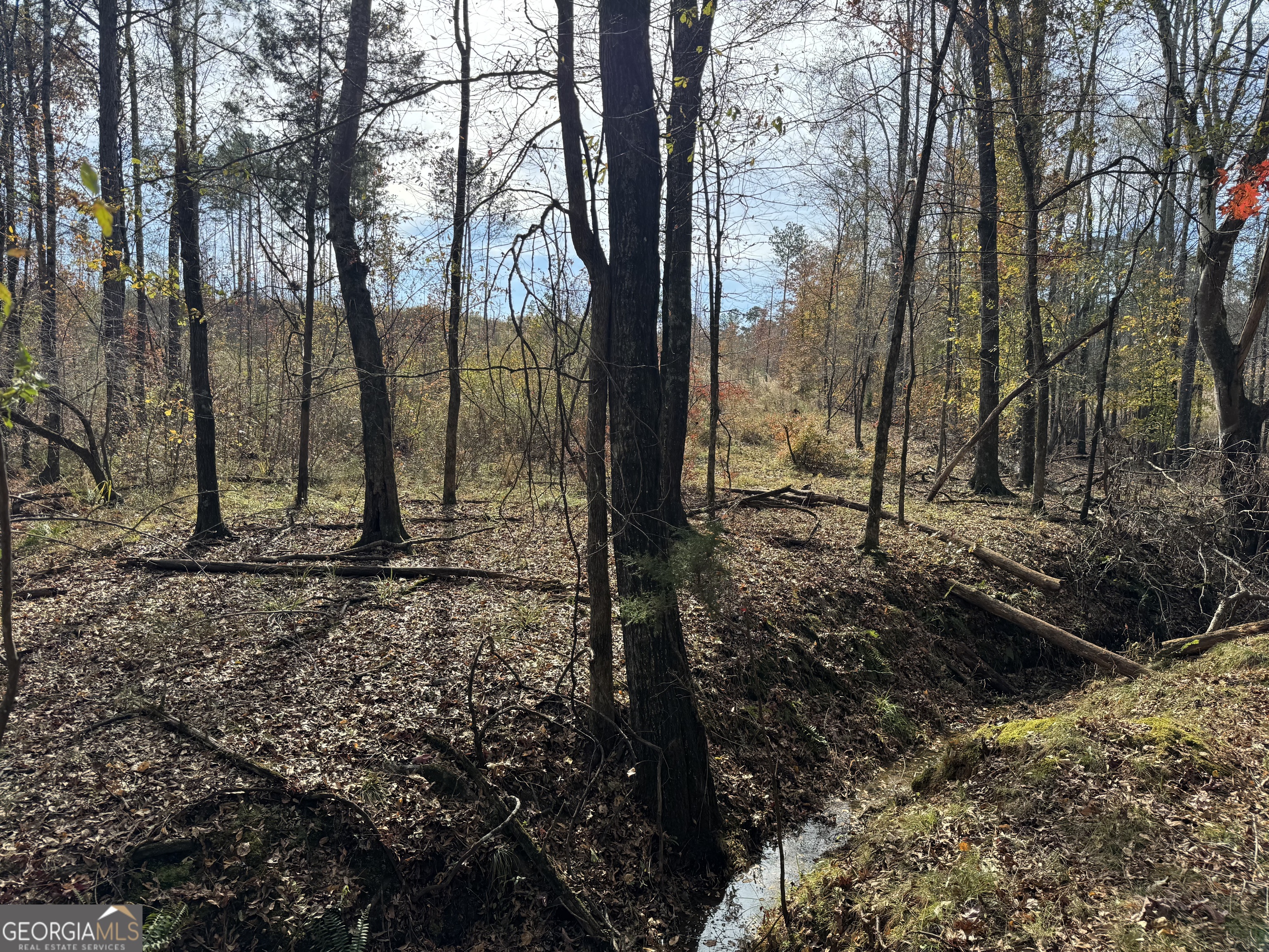 0 Old Middleton Road Elberton GA 30635