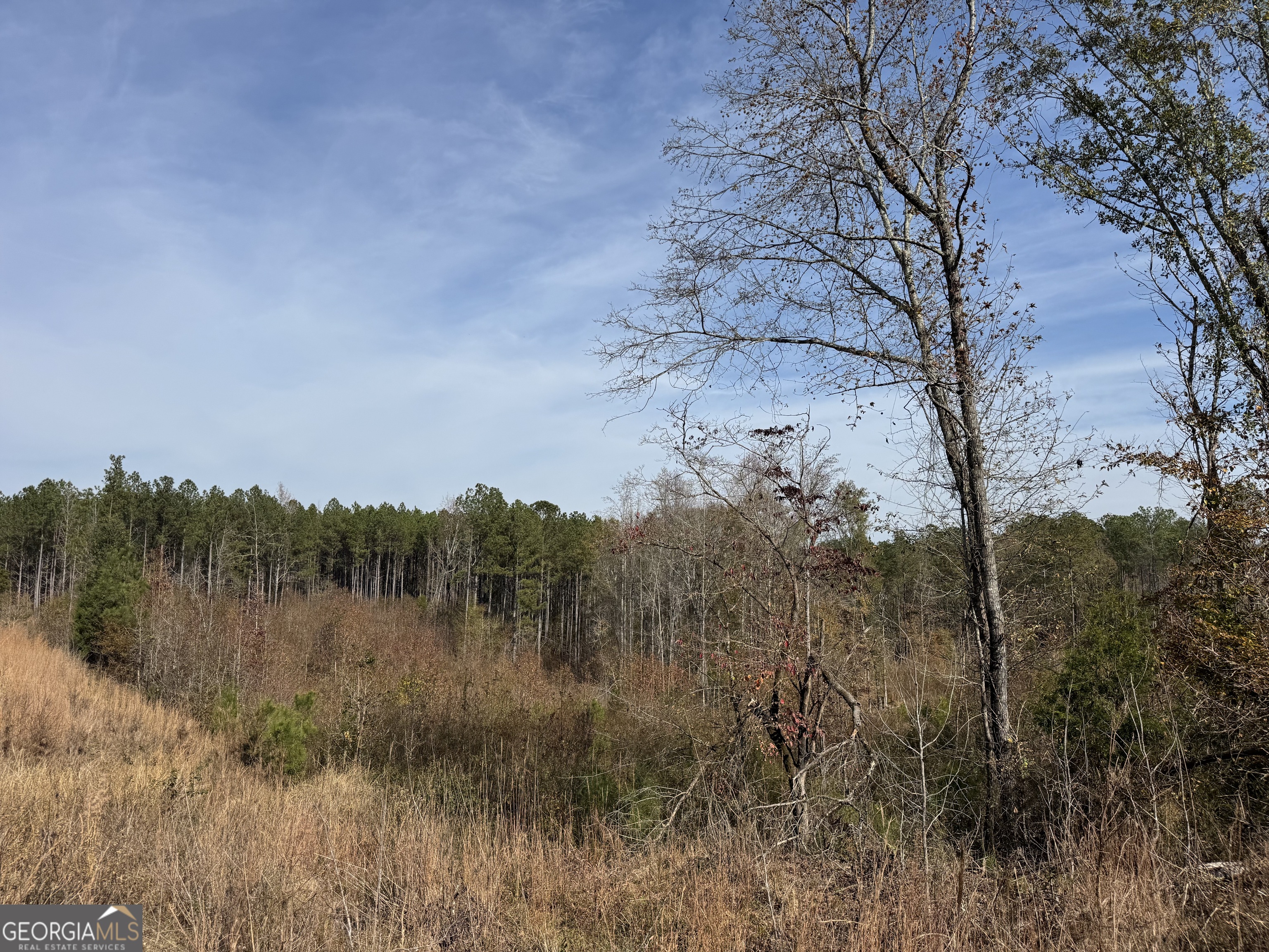 0 Old Middleton Road Elberton GA 30635