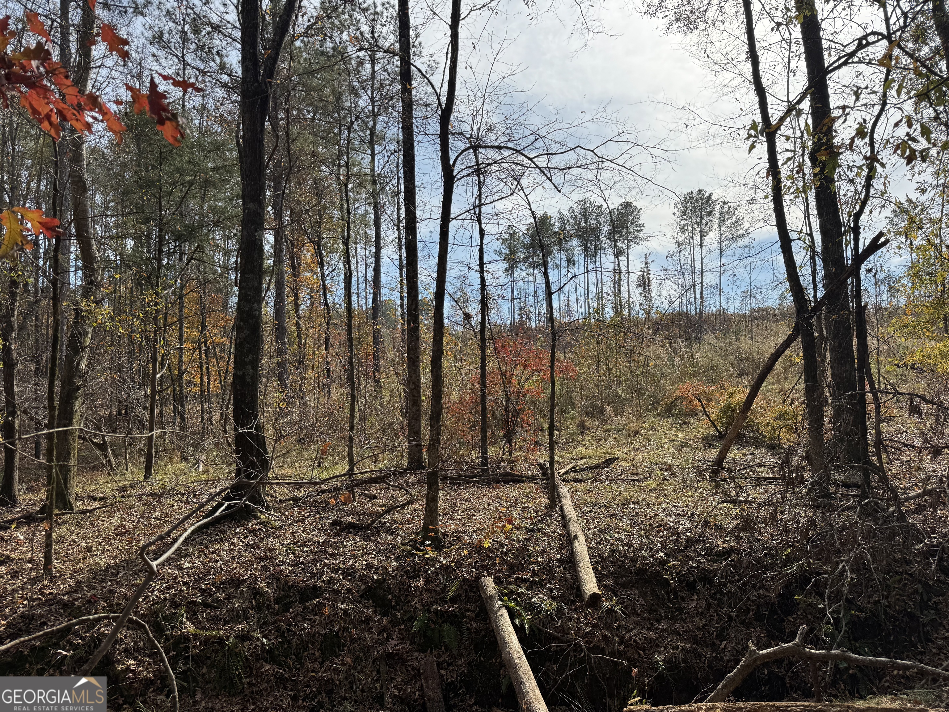 0 Old Middleton Road Elberton GA 30635