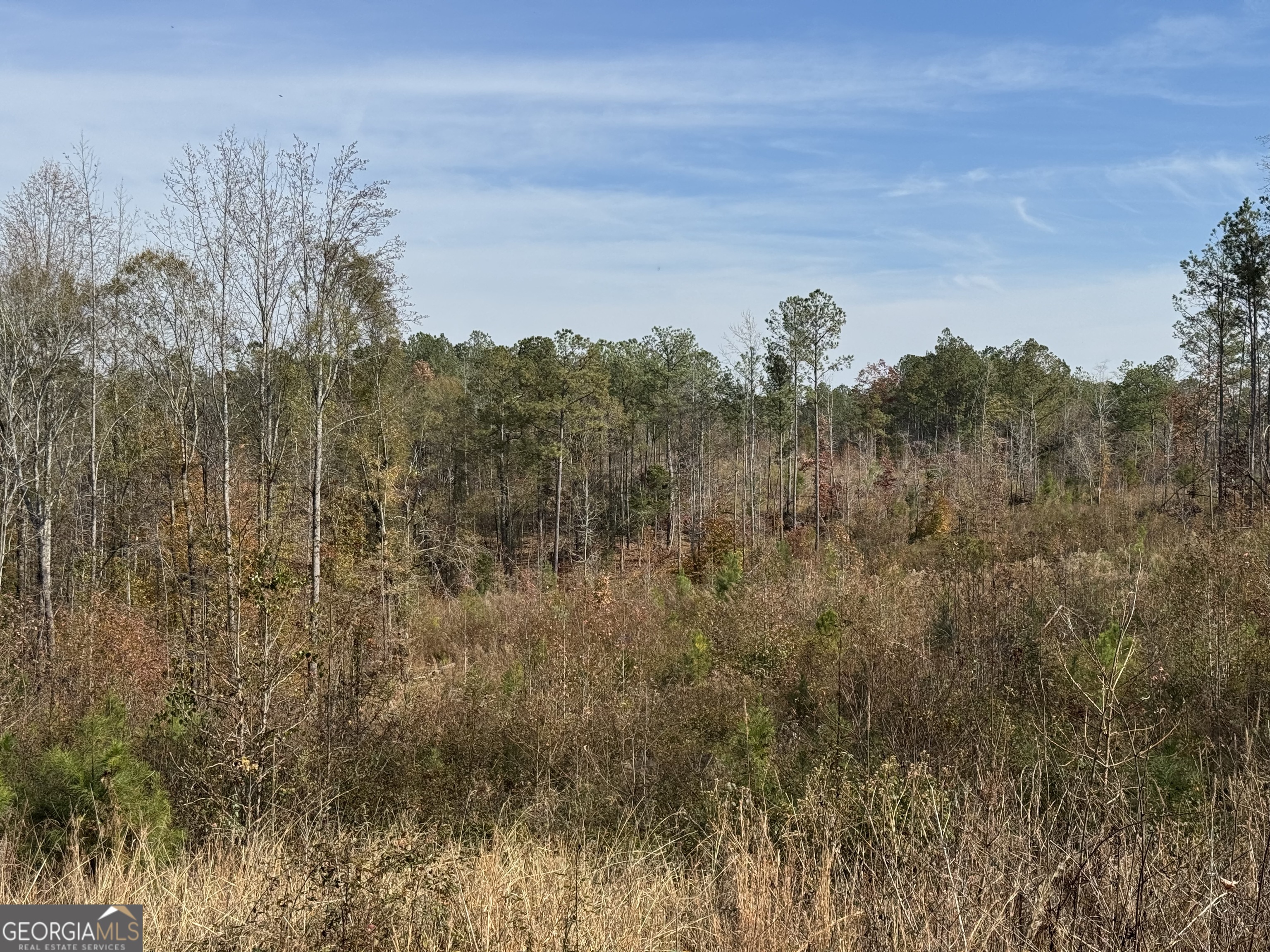 0 Old Middleton Road Elberton GA 30635