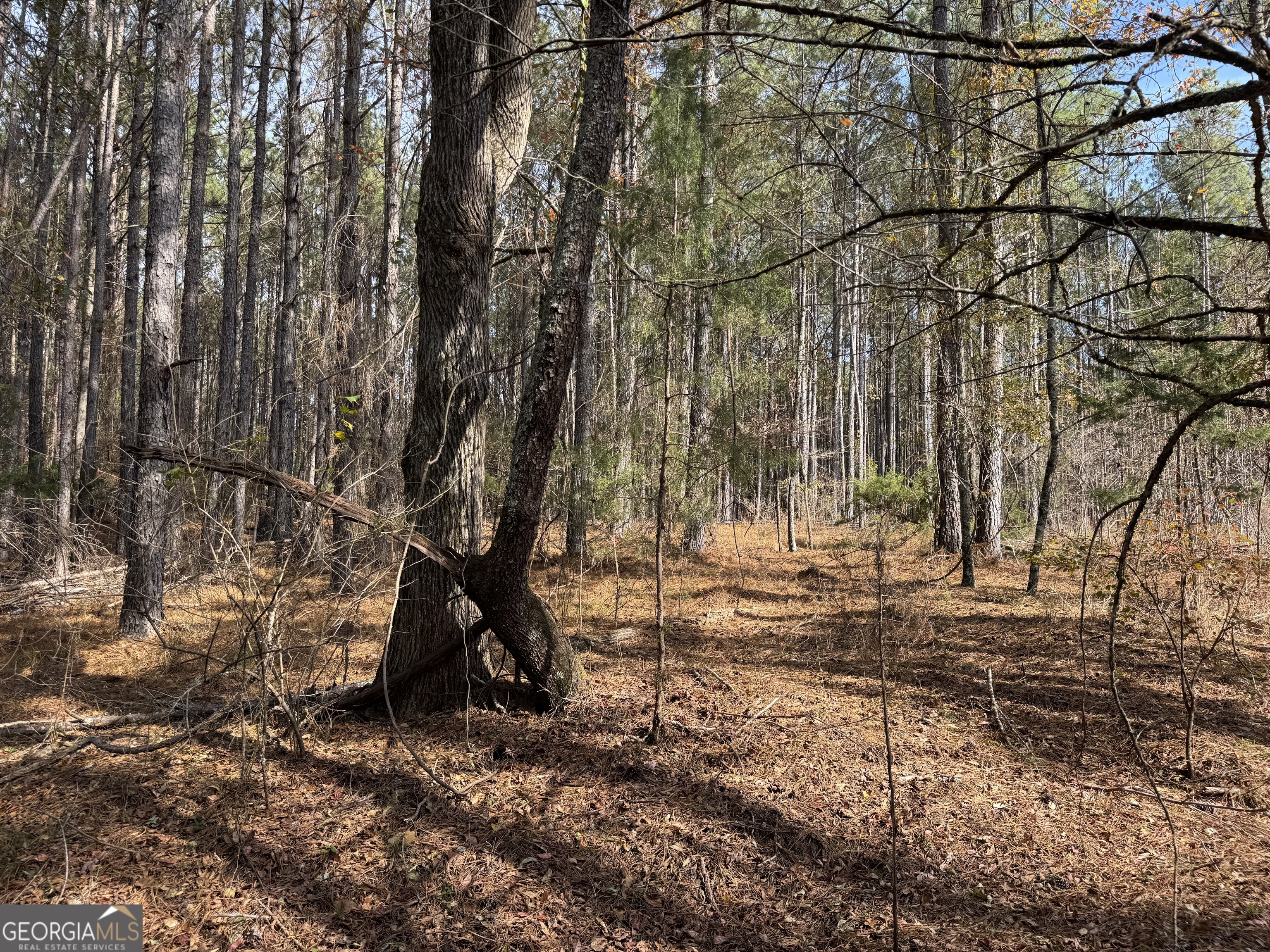 0 Old Middleton Road Elberton GA 30635