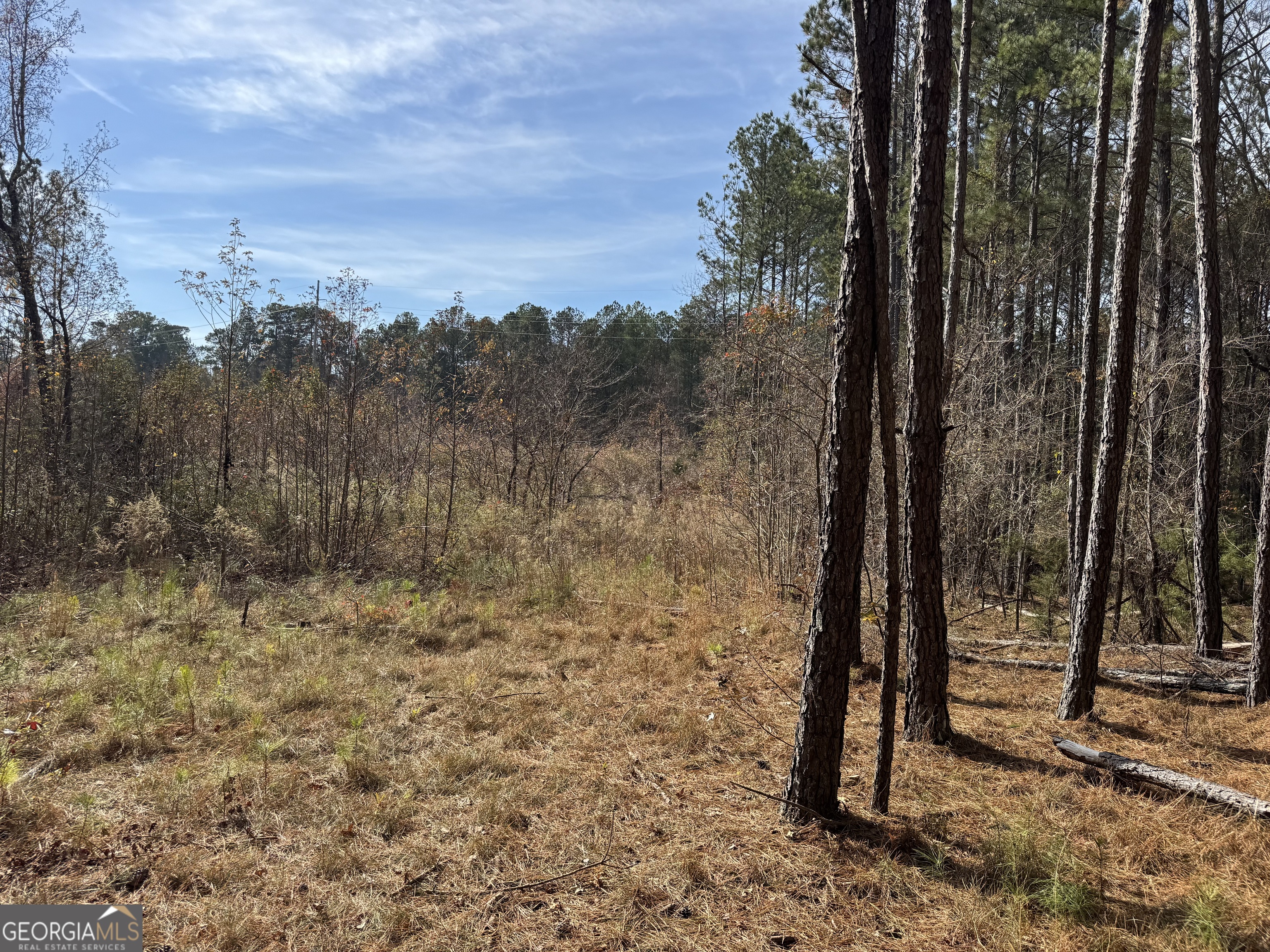 0 Old Middleton Road Elberton GA 30635