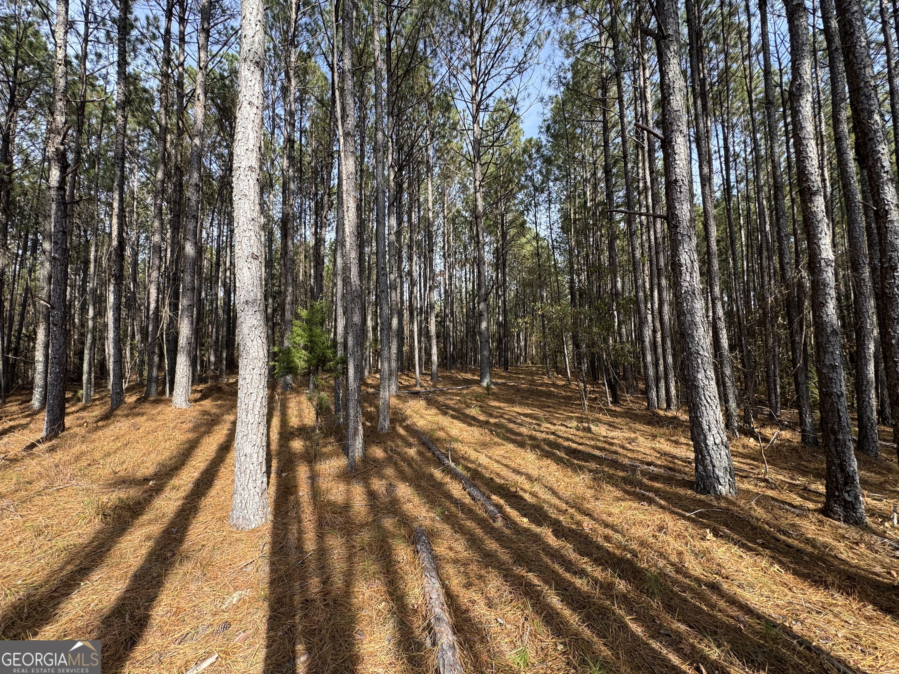 0 Old Middleton Road Elberton GA 30635