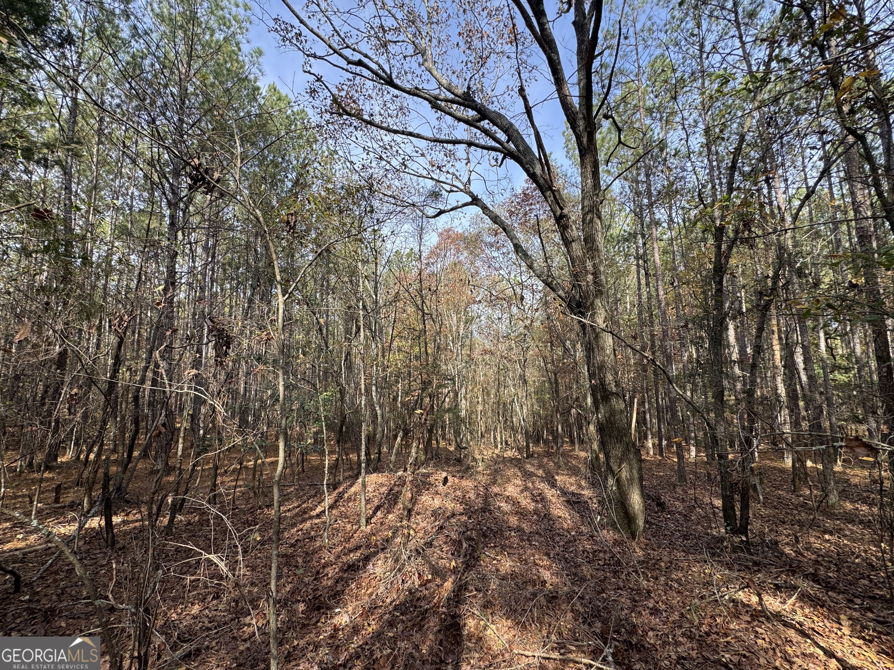 0 Old Middleton Road Elberton GA 30635