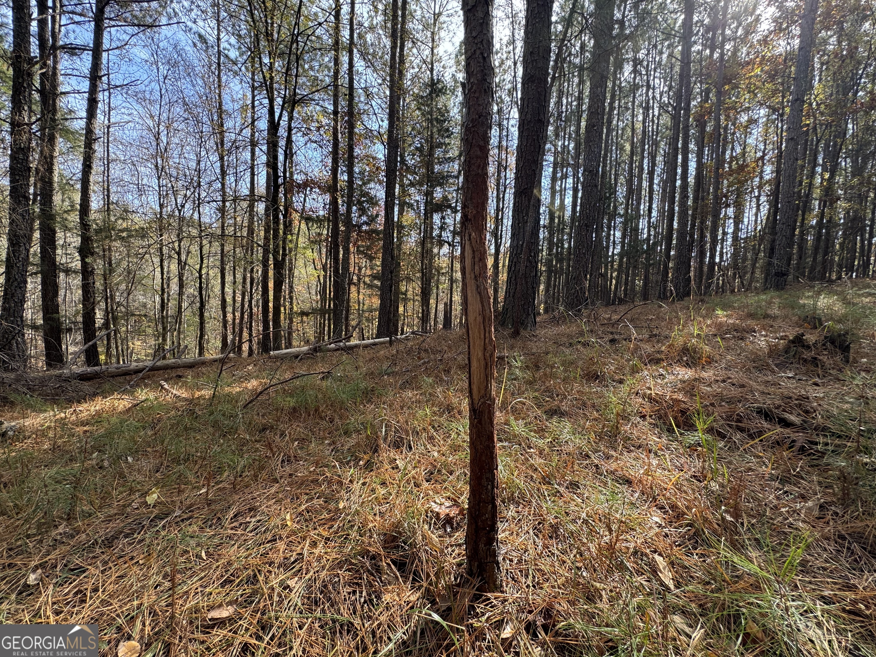 0 Old Middleton Road Elberton GA 30635