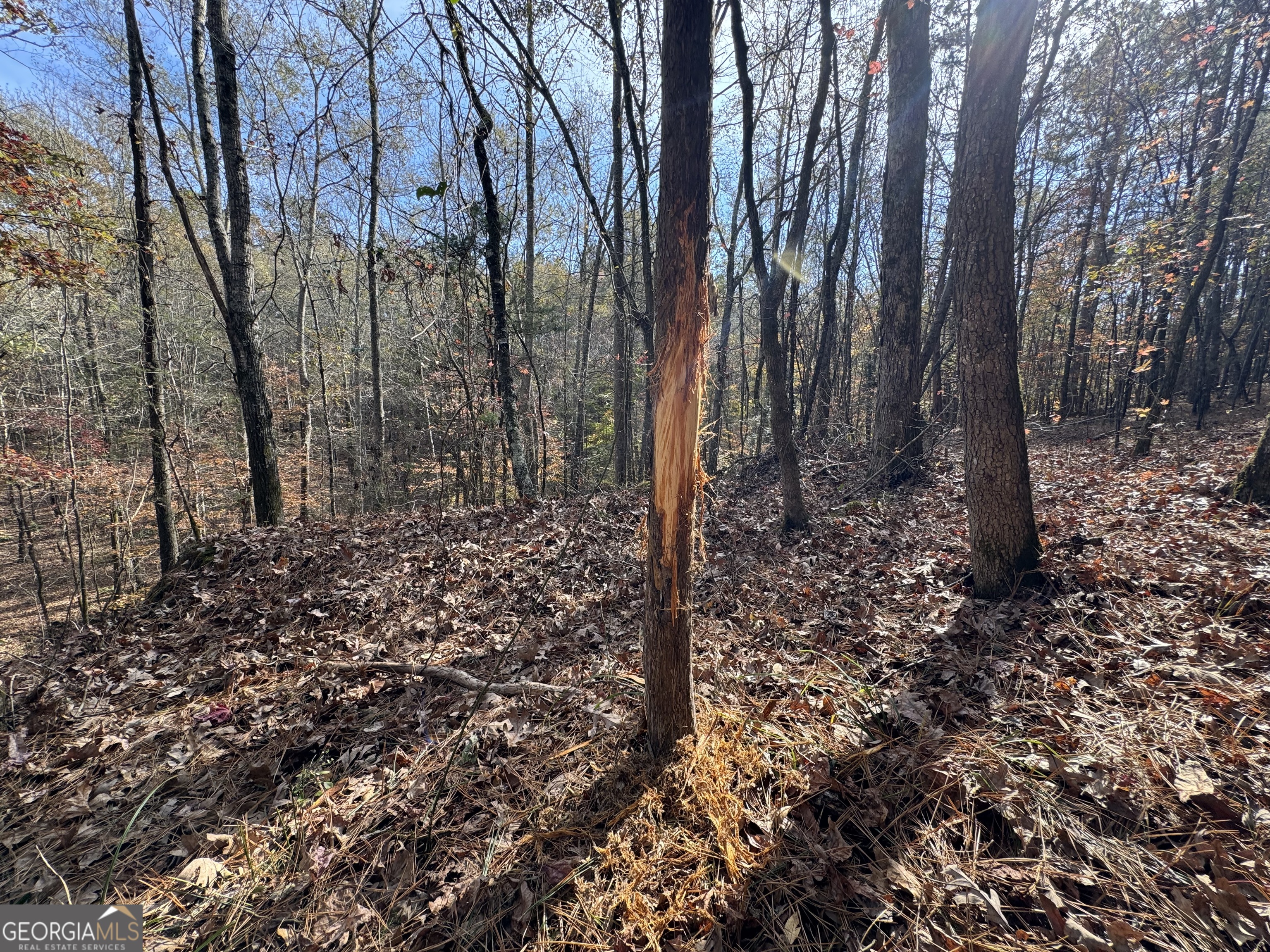 0 Old Middleton Road Elberton GA 30635