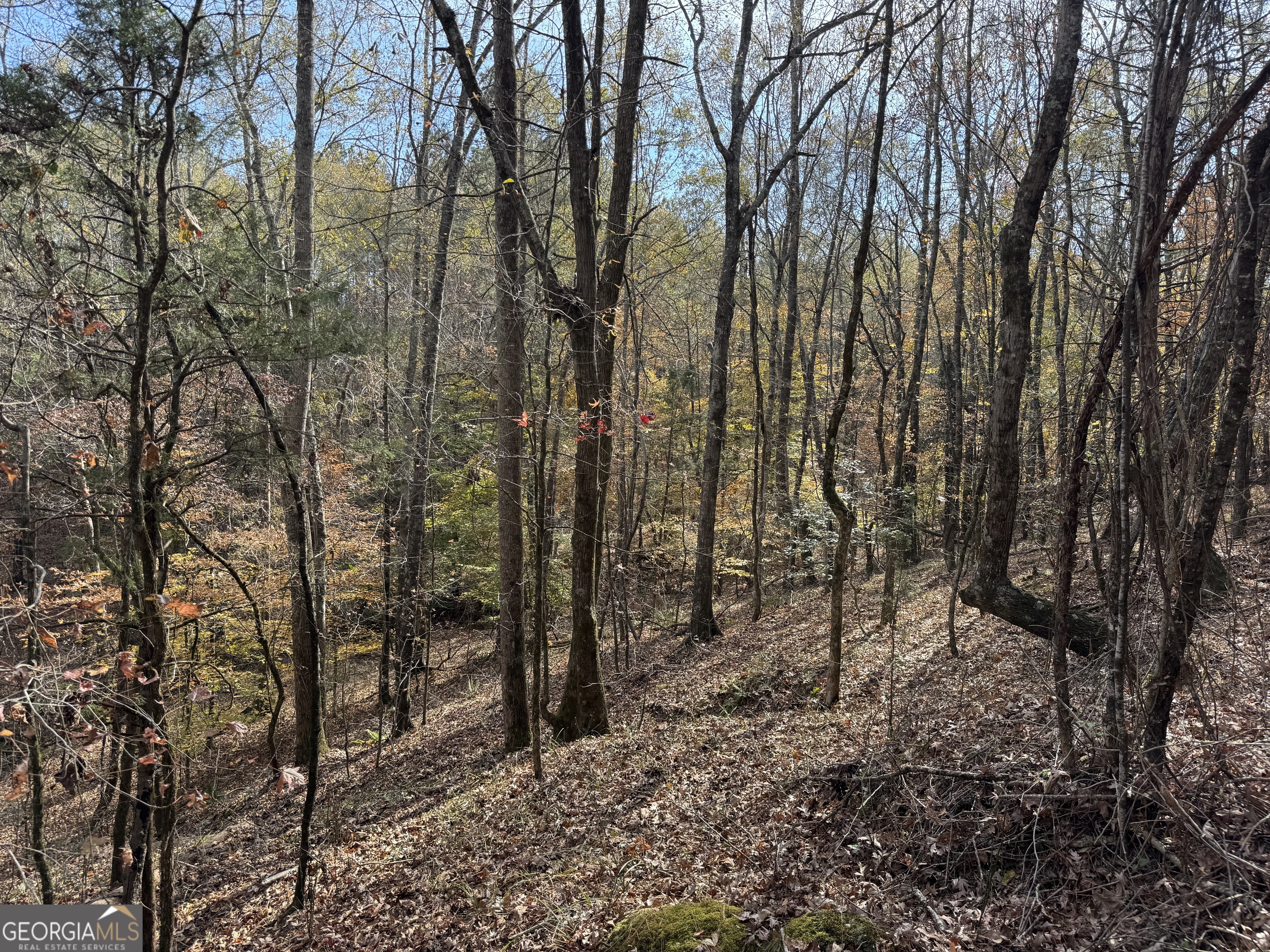0 Old Middleton Road Elberton GA 30635