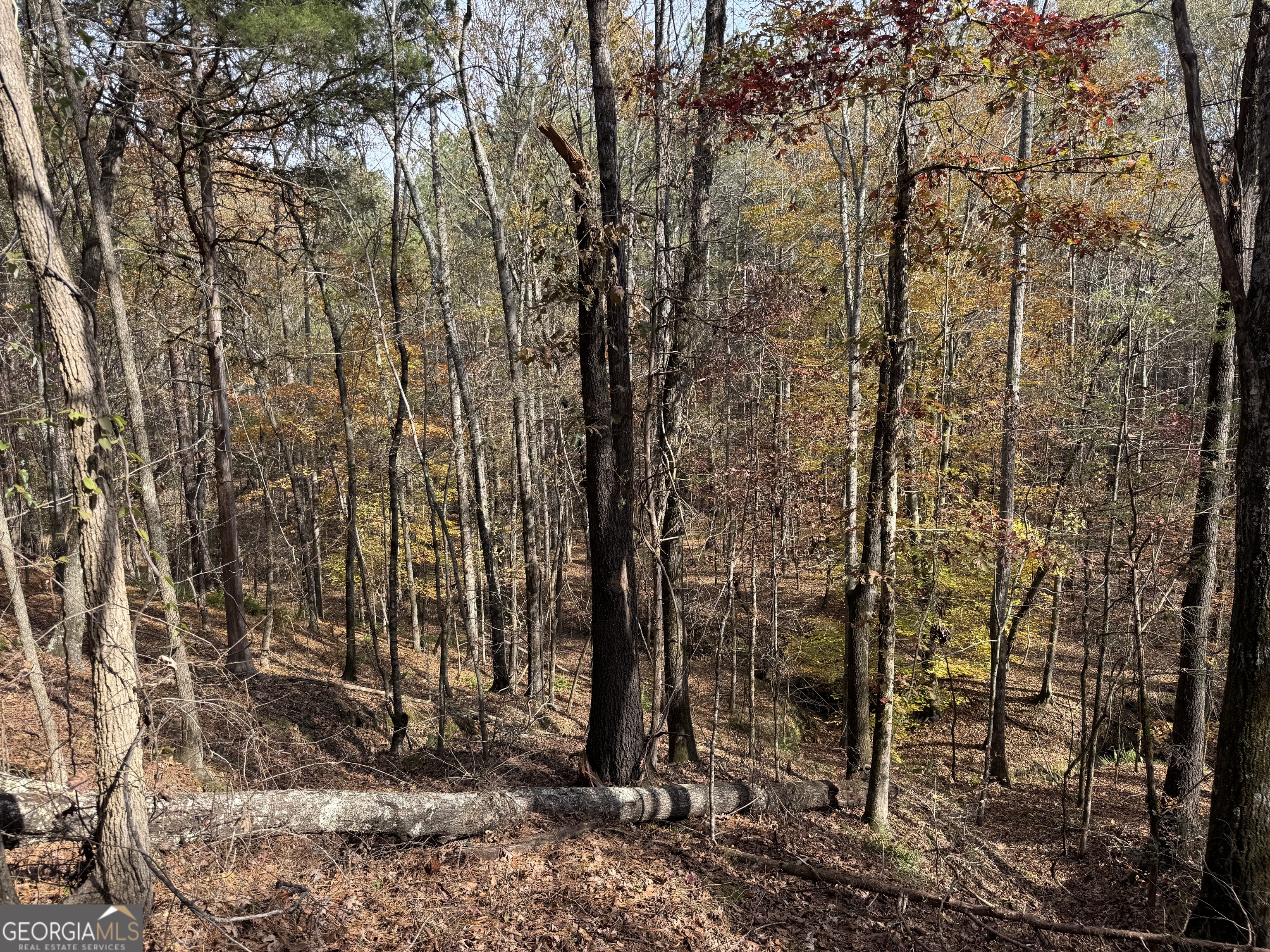 0 Old Middleton Road Elberton GA 30635