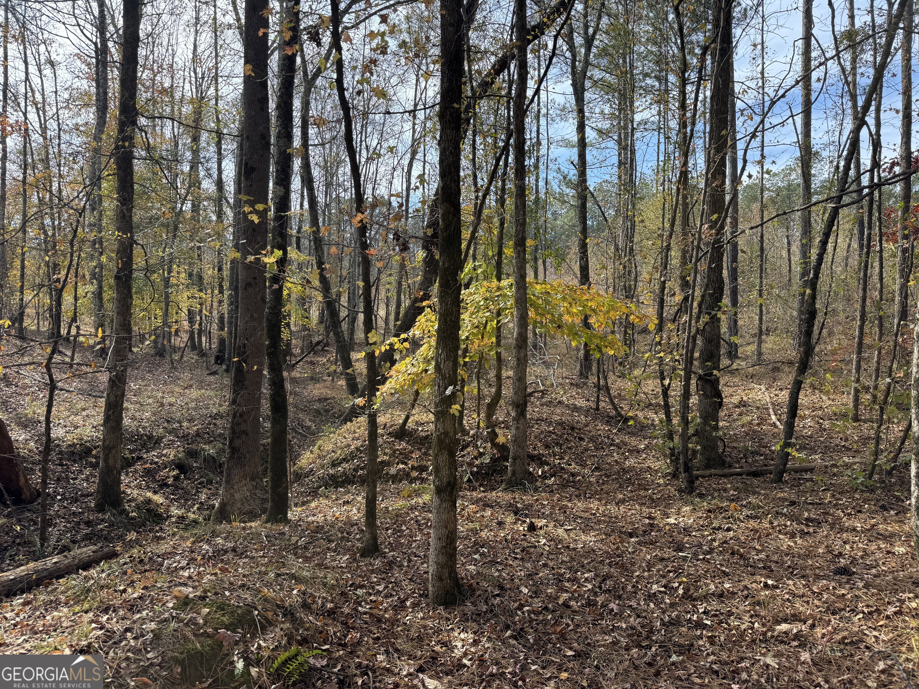 0 Old Middleton Road Elberton GA 30635