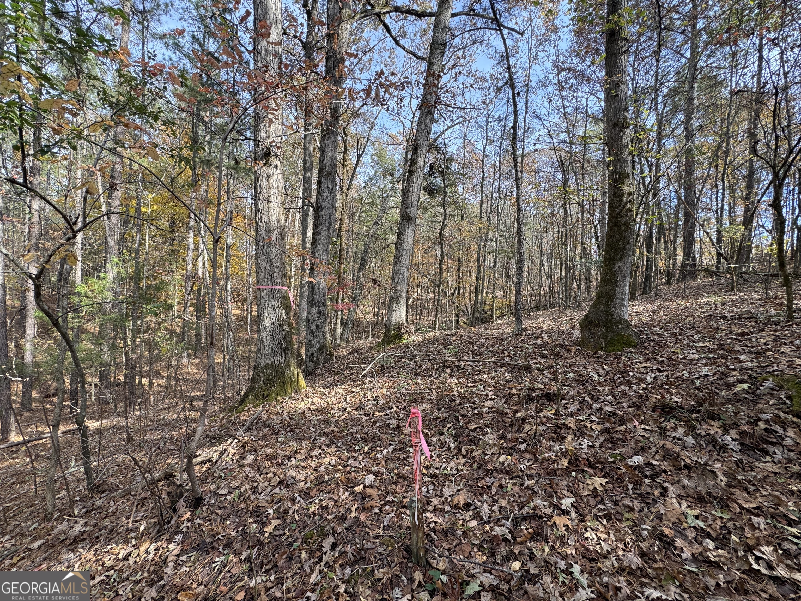 0 Old Middleton Road Elberton GA 30635