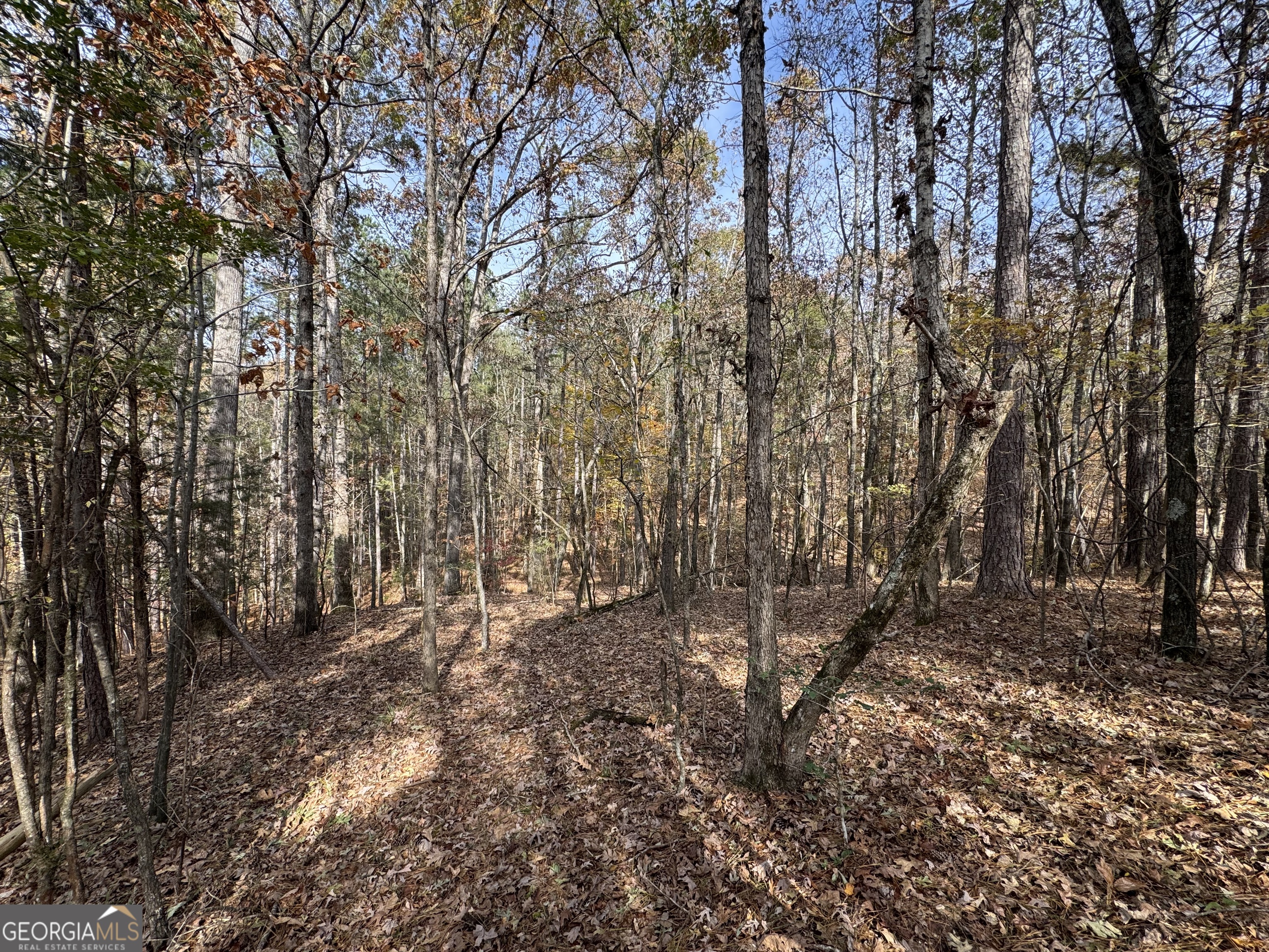 0 Old Middleton Road Elberton GA 30635