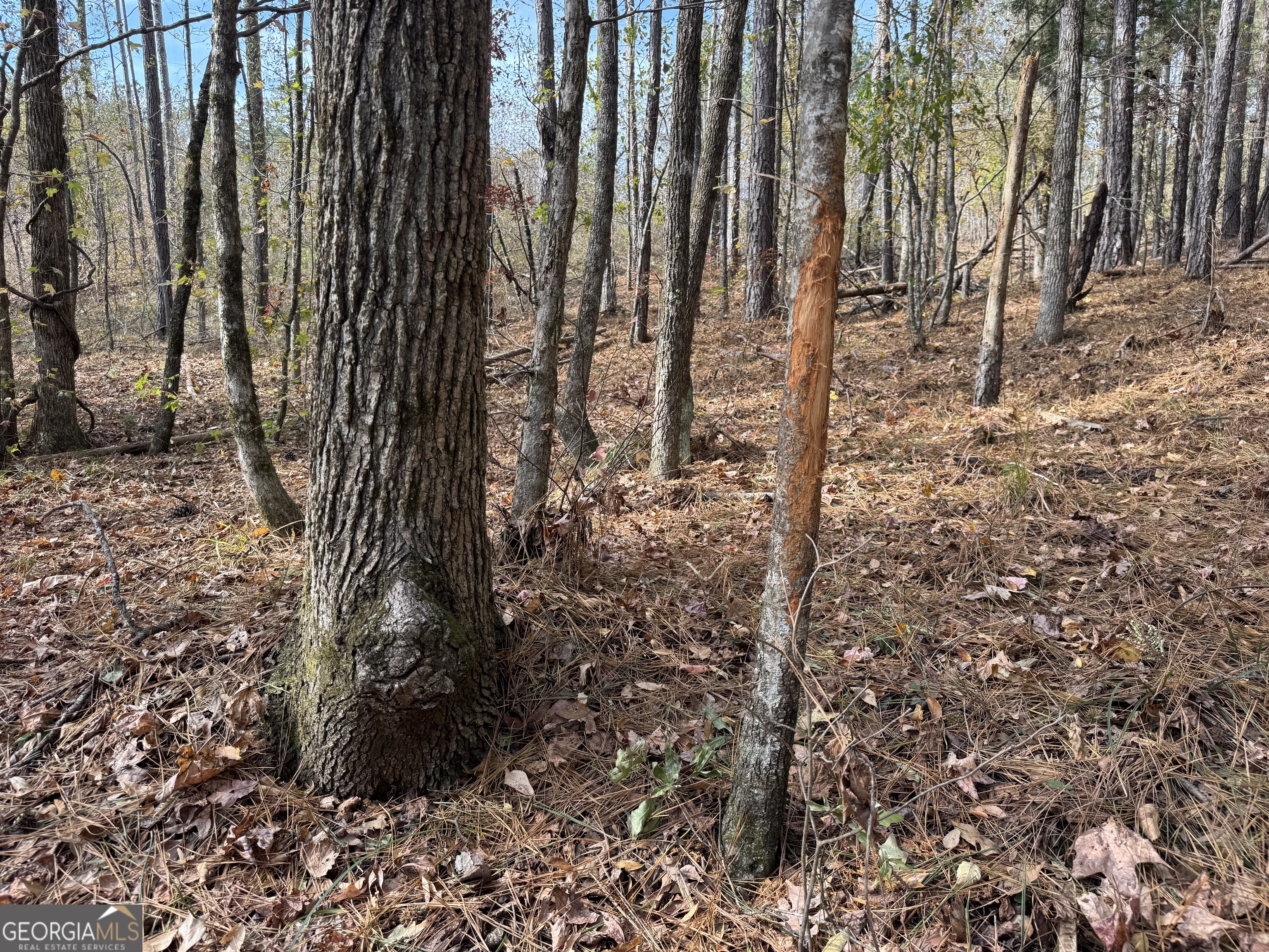 0 Old Middleton Road Elberton GA 30635