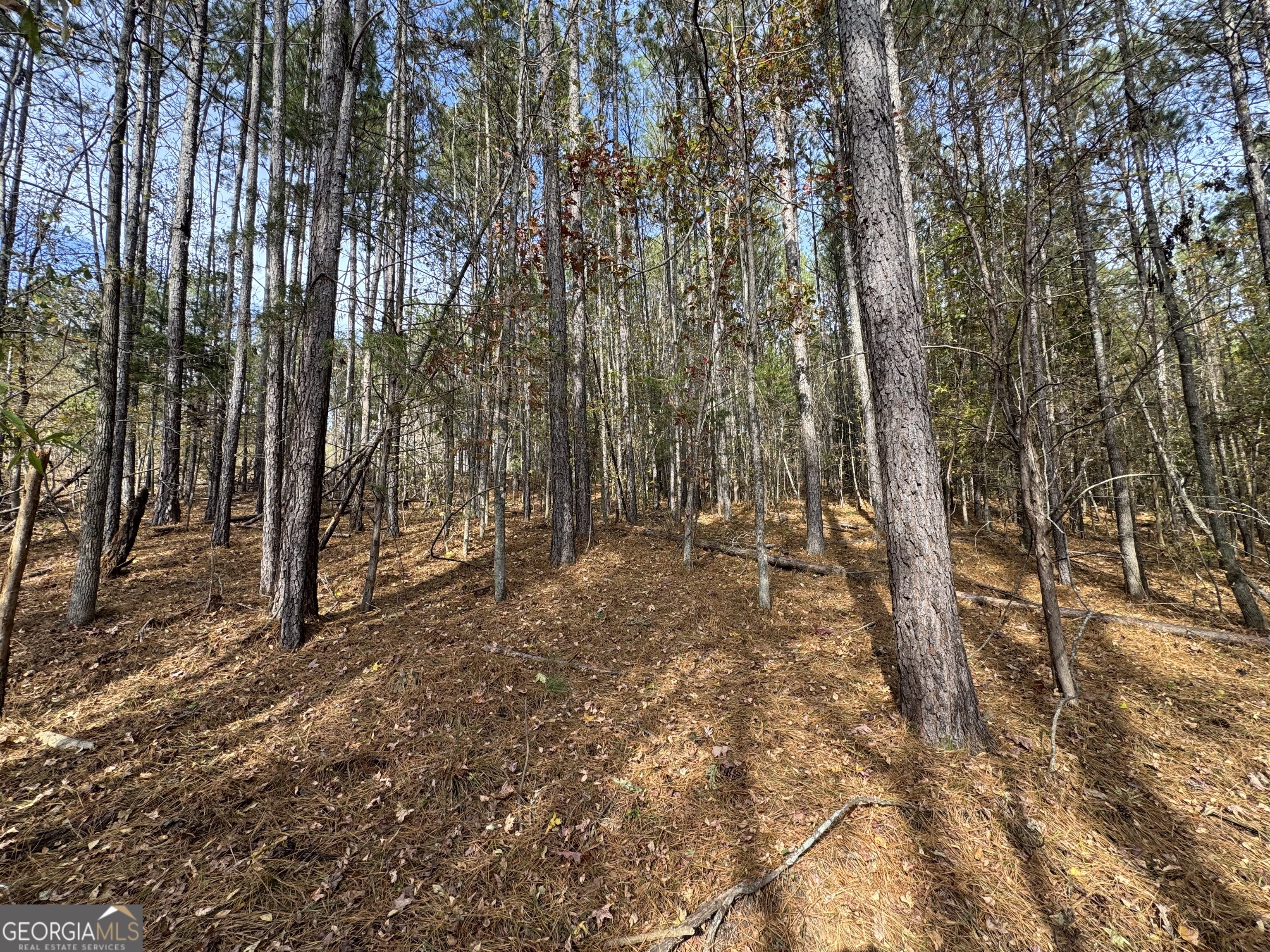 0 Old Middleton Road Elberton GA 30635