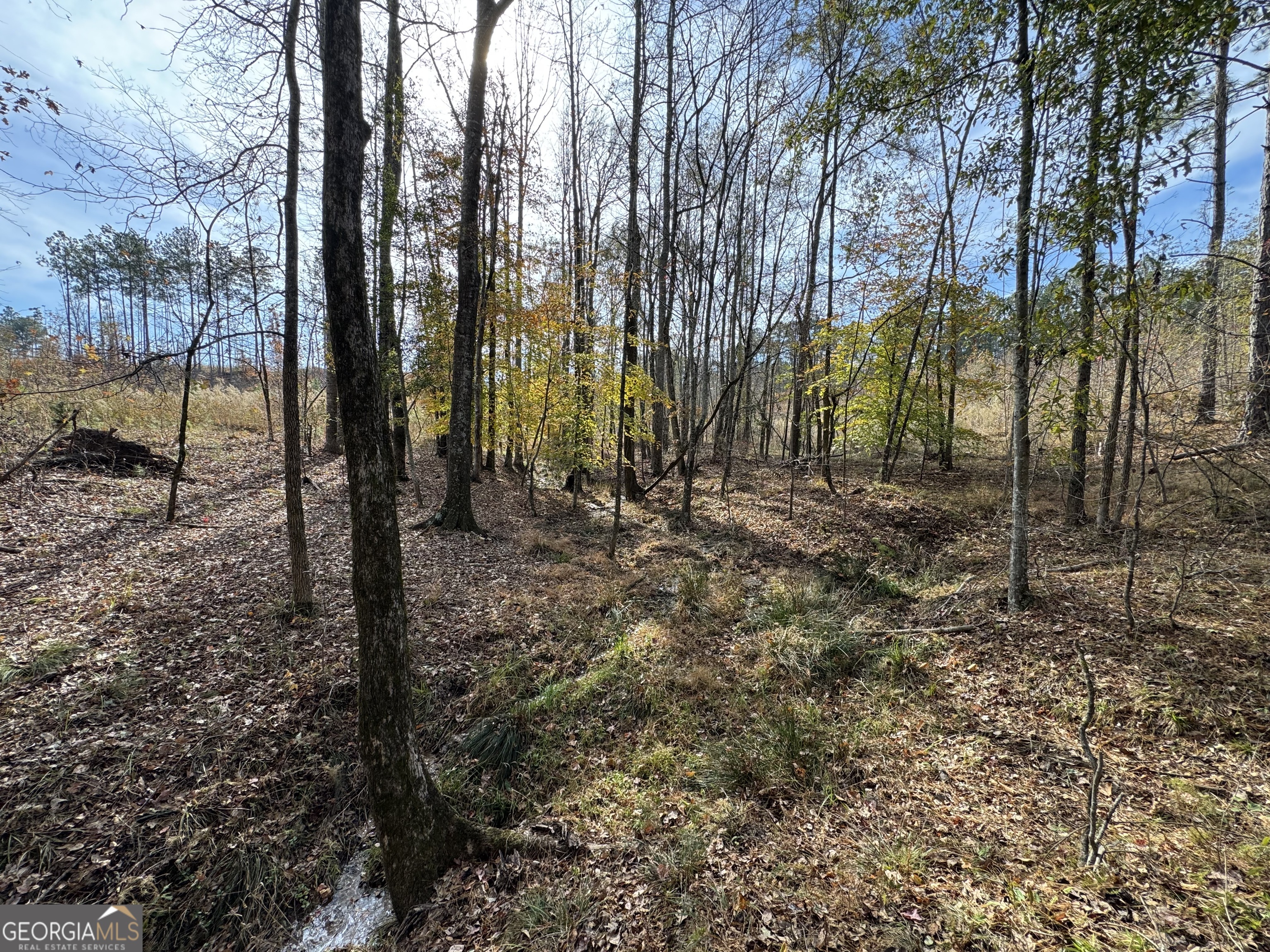 0 Old Middleton Road Elberton GA 30635