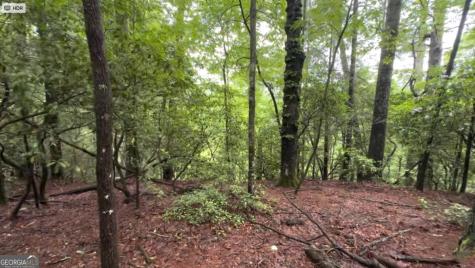 928 Fir Lane Ellijay GA 30540