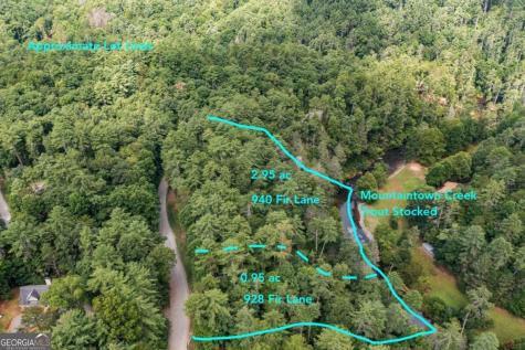 928 Fir Lane Ellijay GA 30540