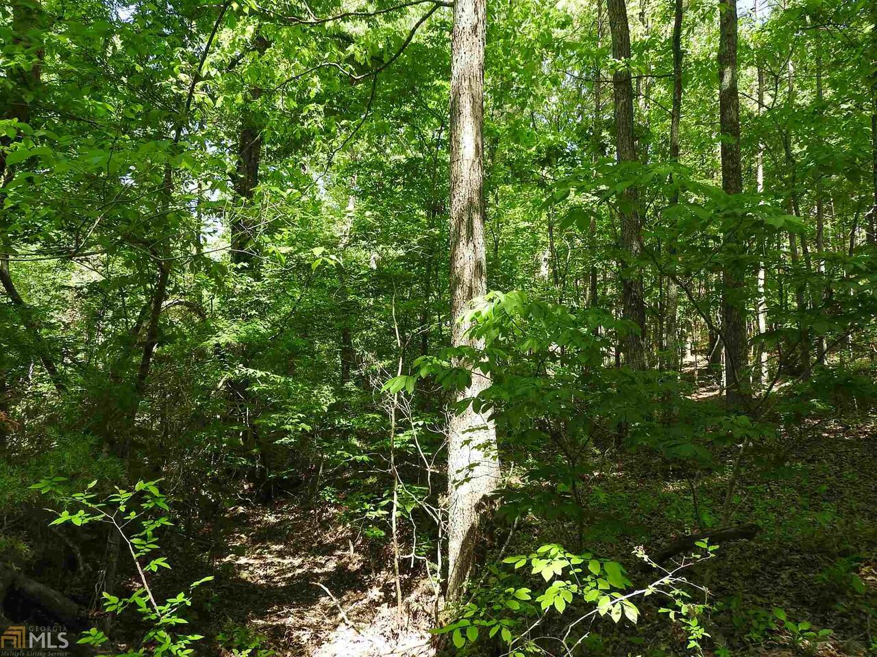 0 Griffin Road Cartersville GA 30120