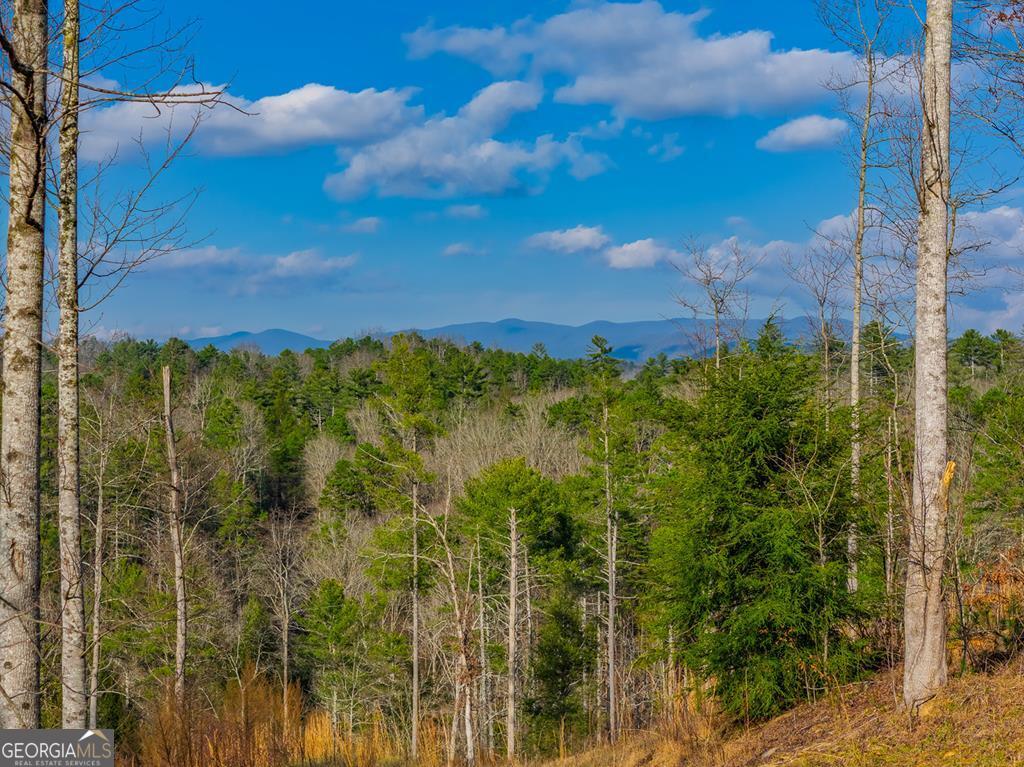 Tract A Hicks Ford Road Ellijay GA 30540