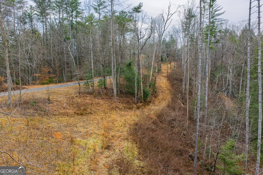 Tract A Hicks Ford Road Ellijay GA 30540