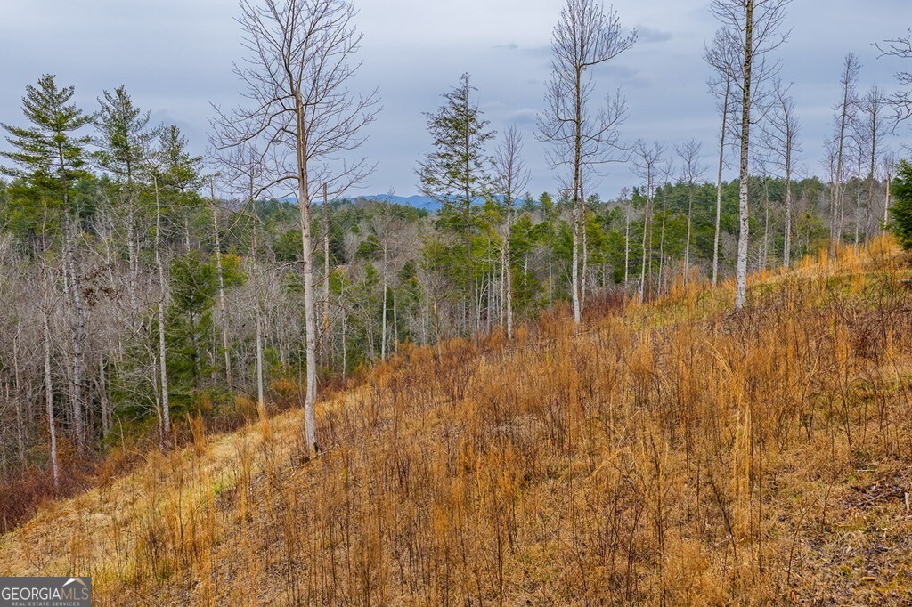 Tract A Hicks Ford Road Ellijay GA 30540