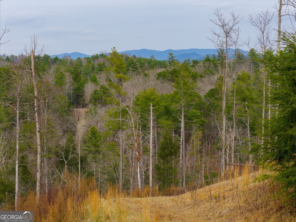 Tract A Hicks Ford Road Ellijay GA 30540