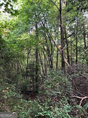 5.95 Ac Alp Lane Blue Ridge GA 30513